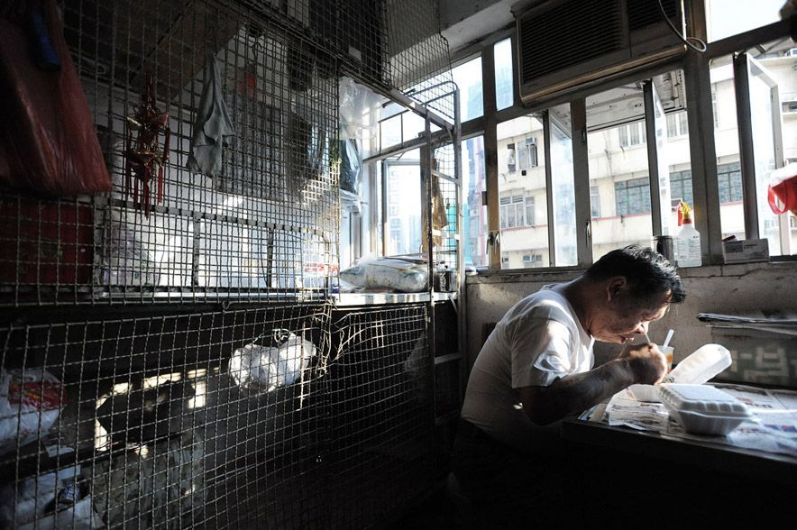 Life in dog cages in Hong Kong - Hong Kong, Lodging, Poverty, Dormitory, The photo, Longpost