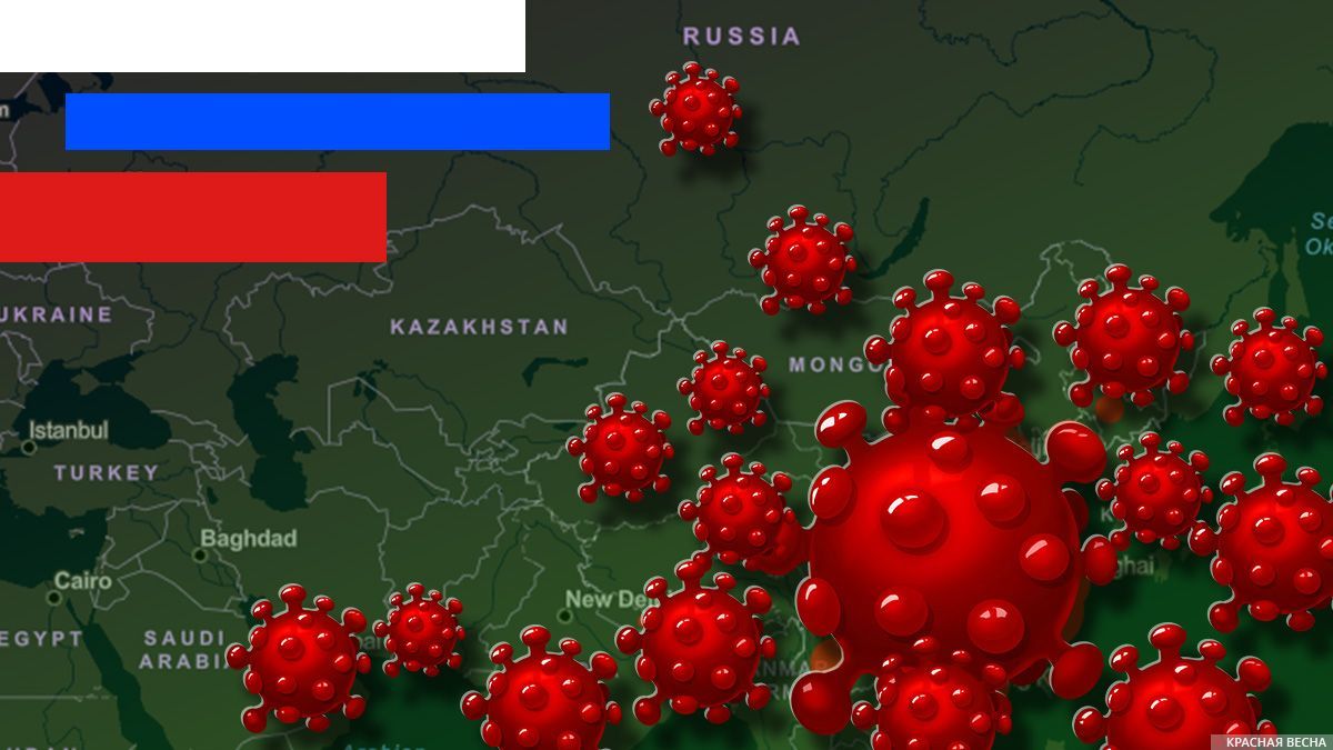 Для отчета перед Москвой все ИВЛ свезли в одну больницу — депутат Яроблдумы - Коронавирус, Москва, Ярославская область