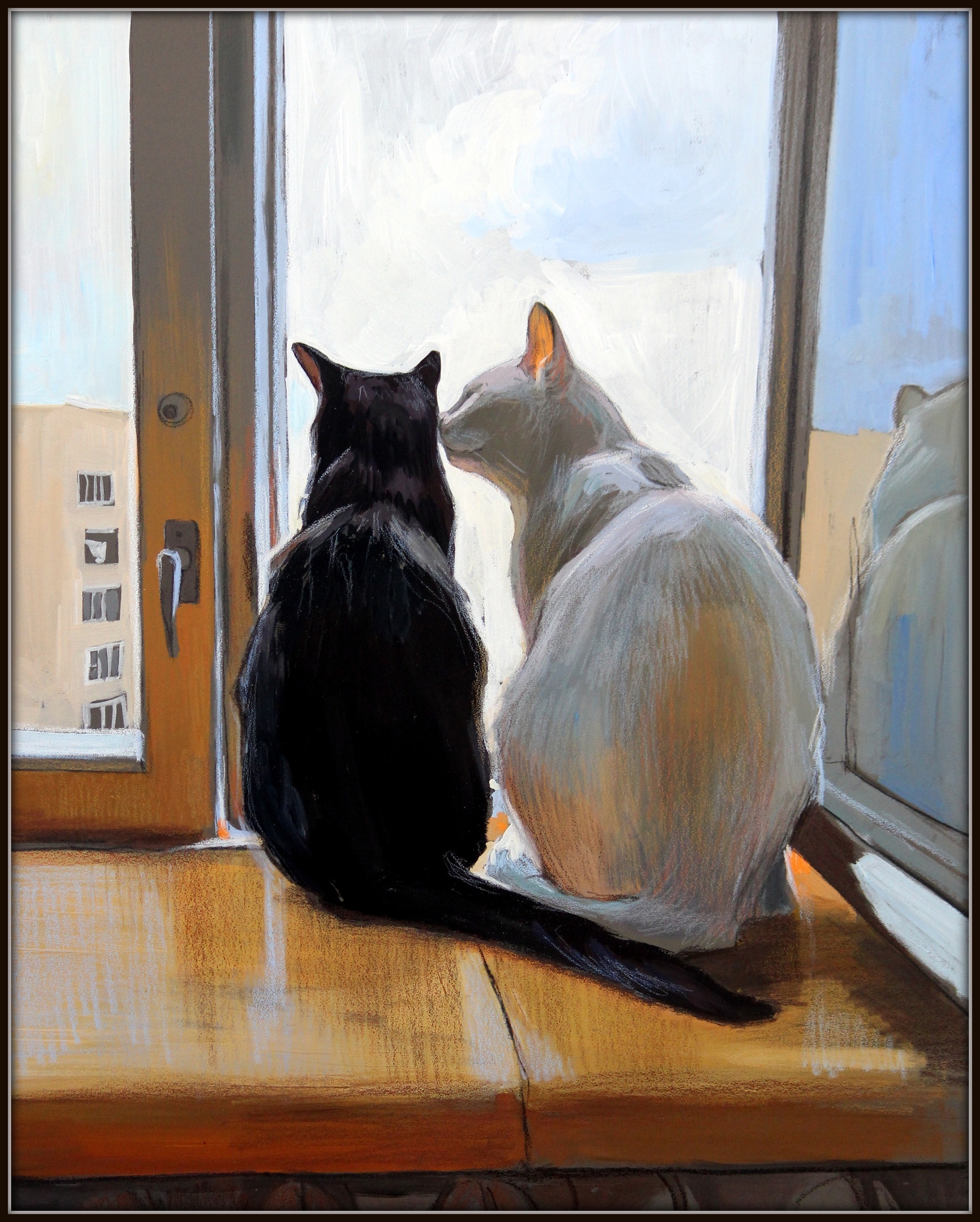 Черная Кошка Белый Кот Фото