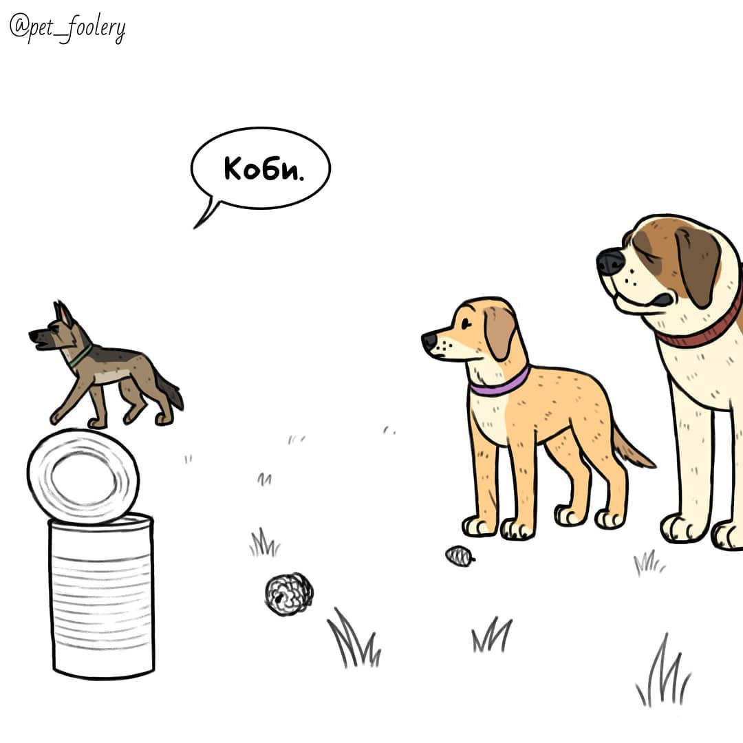 Three-point shot - Pet foolery, Lola and Mr. Wrinkle, Brutus and Pixie, Comics, Longpost