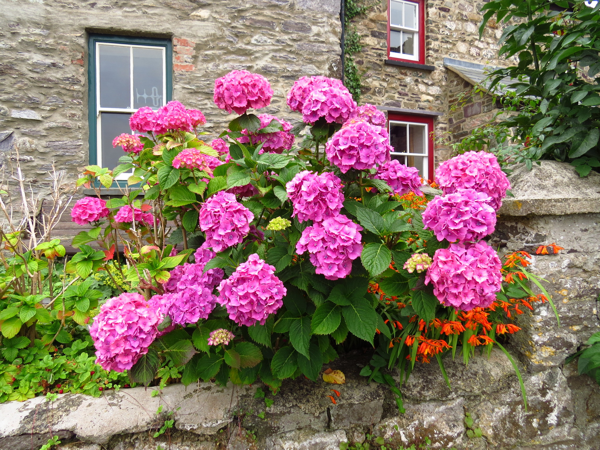 Nature of Wales (UK) - My, Wales, Great Britain, Nature, Longpost, Landscape, The photo