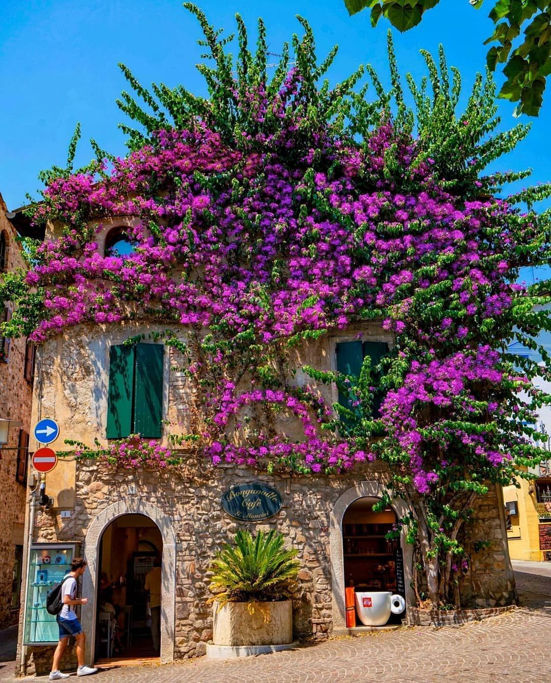 Elegant Italian cafe - Cafe, Italy, Flowers, Summer