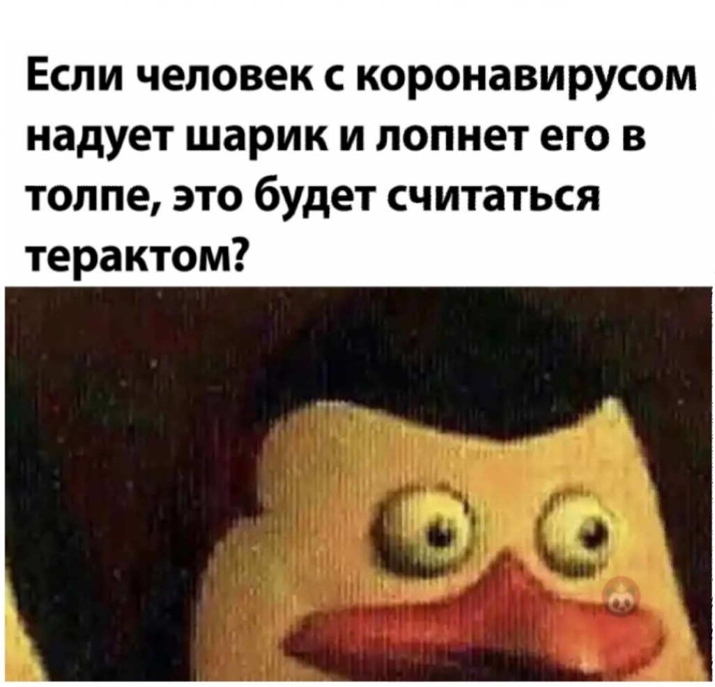 Terrorist attack - Virus, Terrorist attack, Kowalski