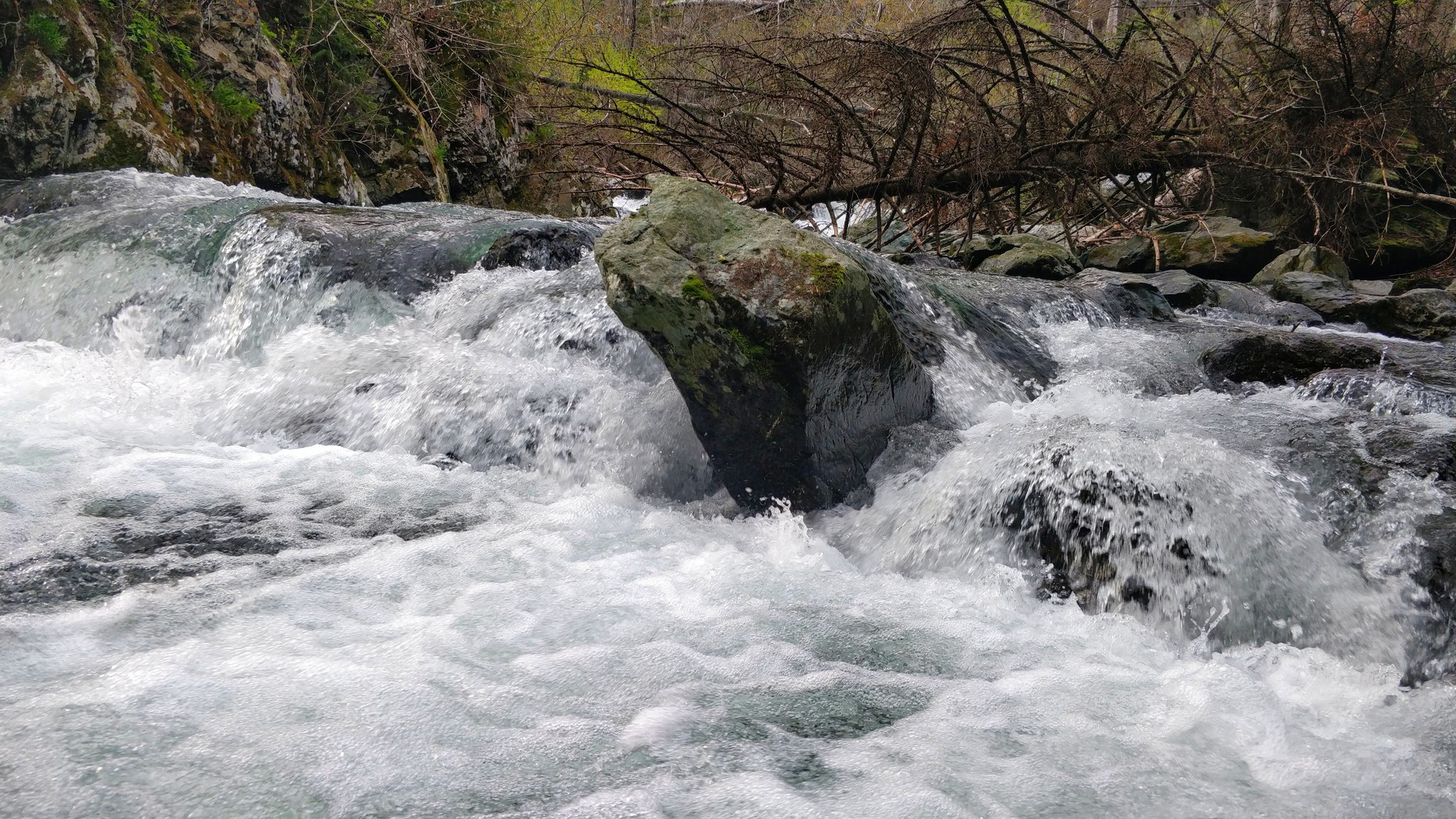 Fishing for salmon with spinning rod in the Sakhalin mountain river. Dolly malma and greenling - My, Sima, Pink salmon, Loach, Fishing, Mountain river, Spinning, Video, Longpost