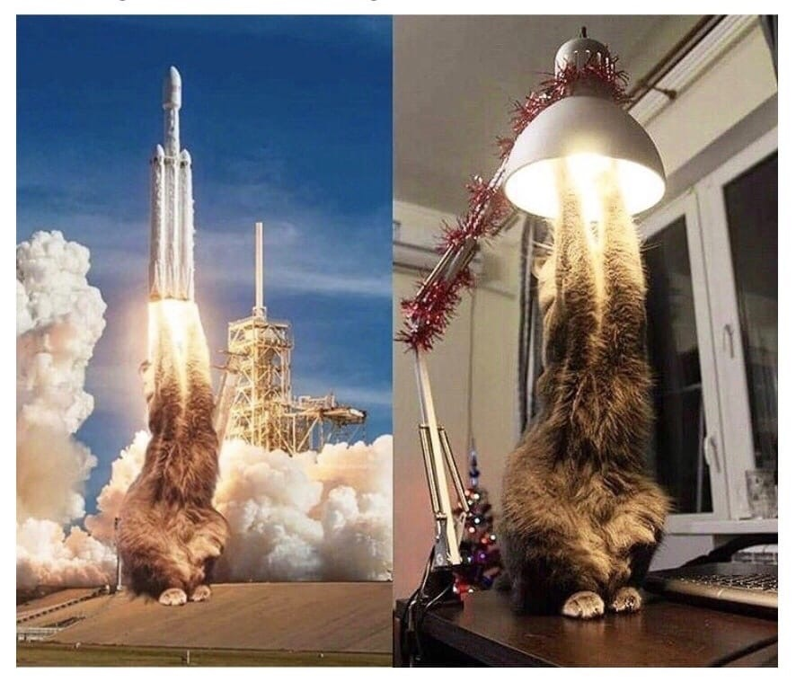 Кот Илона Маска - Кот, Photoshop, Ракета, SpaceX