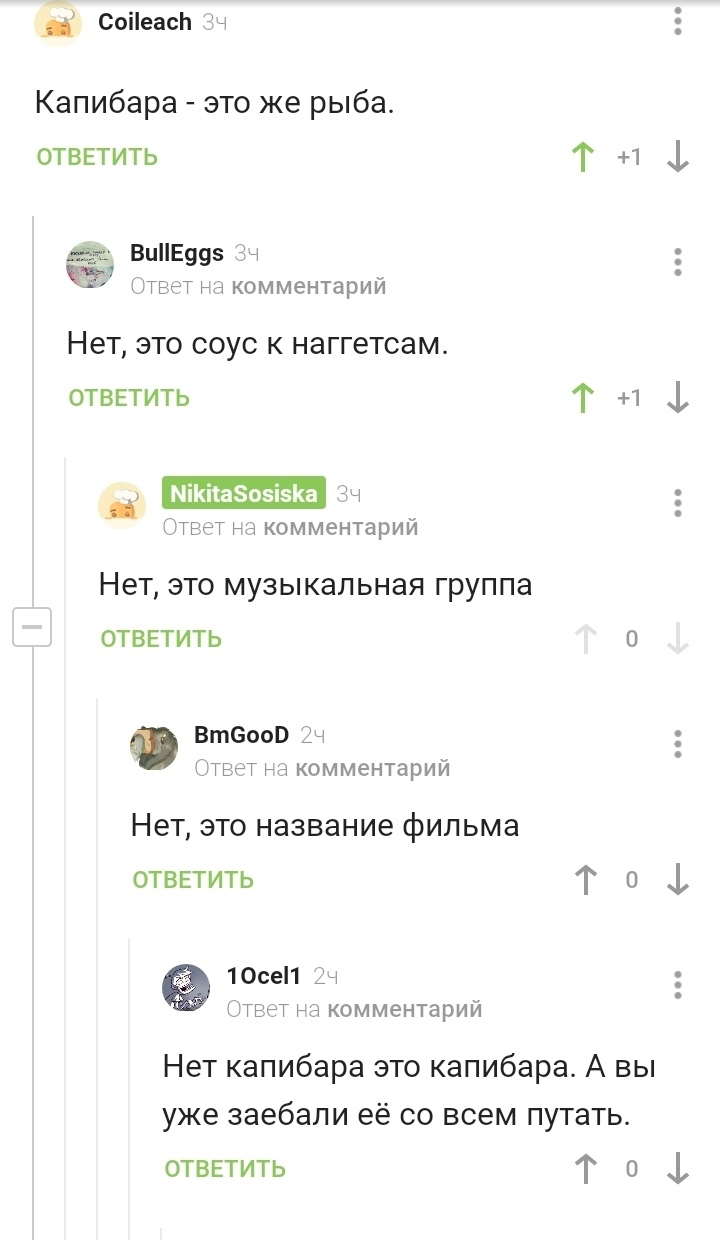 Что произошло по ту сторону экрана? - Комментарии на Пикабу, Капибара, Что это?, Длиннопост