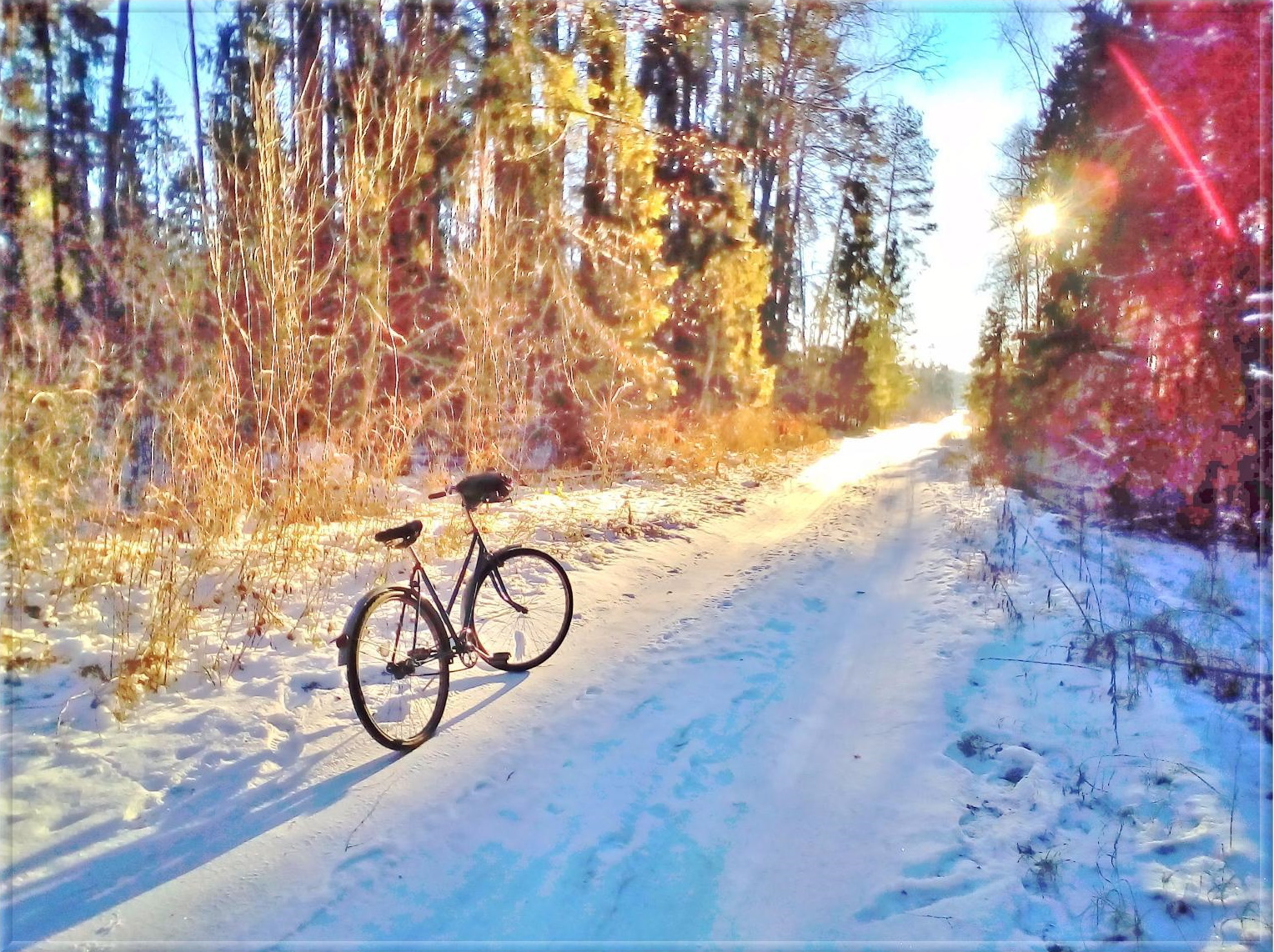 June 3 is World Bicycle Day! - My, A bike, Holidays, Seasons, Longpost