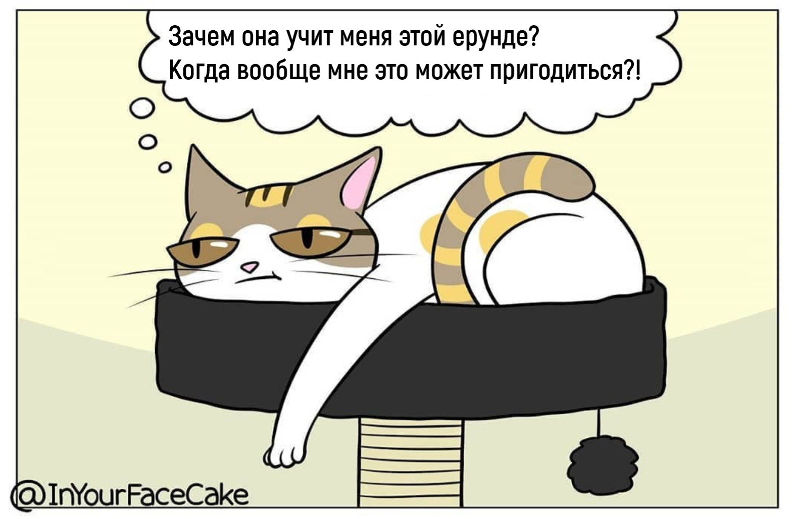 Knowledge is power! - Comics, Inyourfacecake, Humor, cat, Hostess, Training