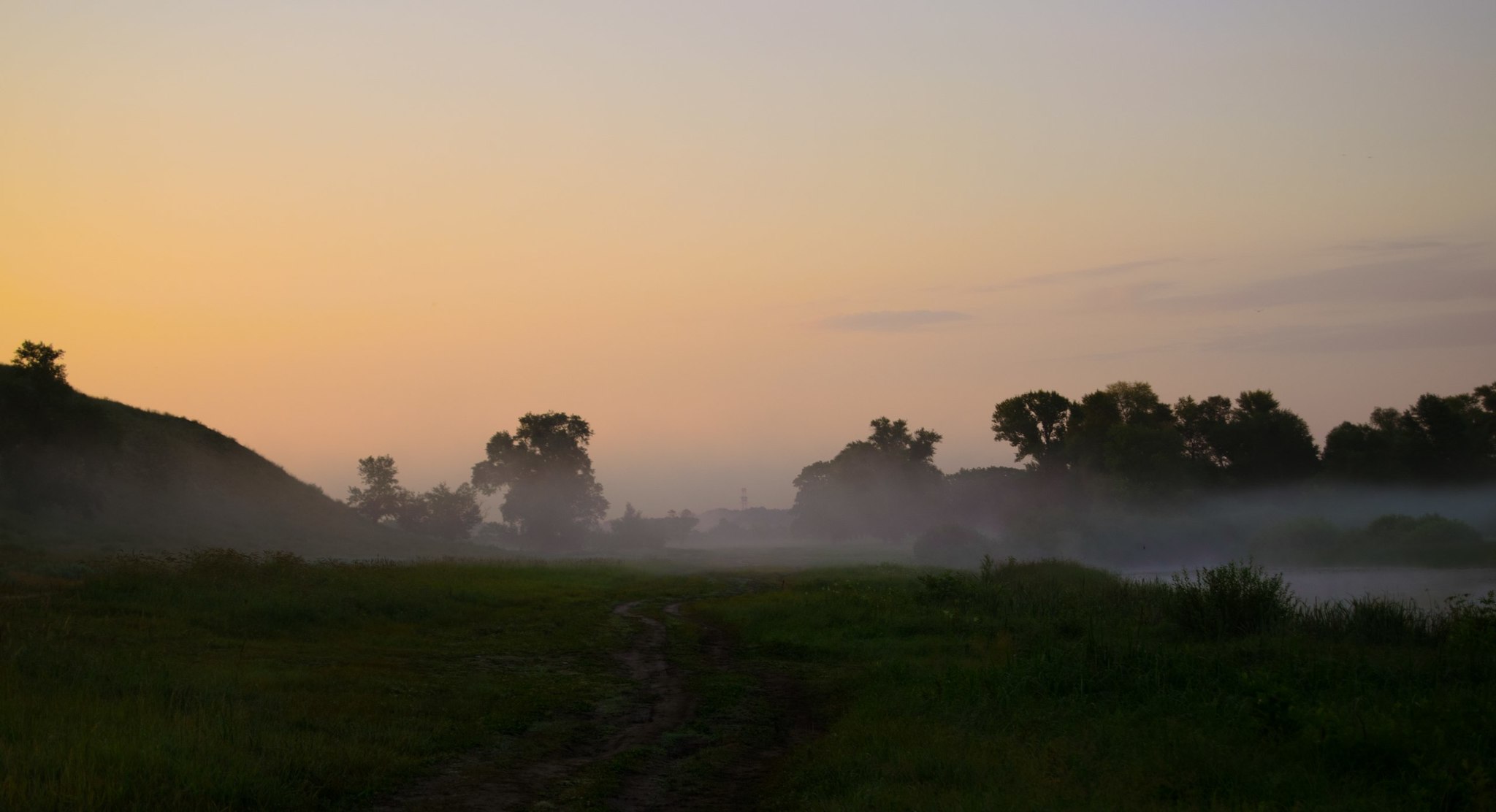 Nature of the Volgograd region - My, Volgograd region, Nature, Animals, Longpost