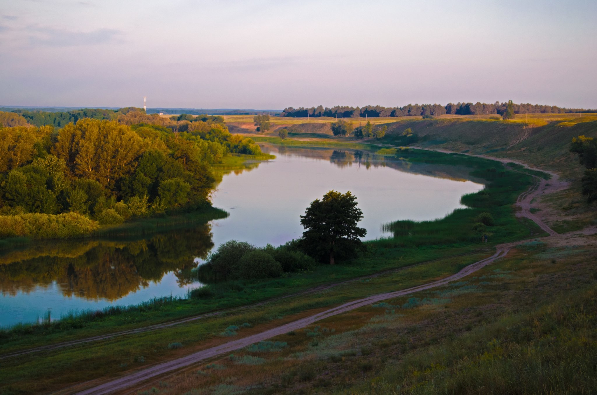 Nature of the Volgograd region - My, Volgograd region, Nature, Animals, Longpost