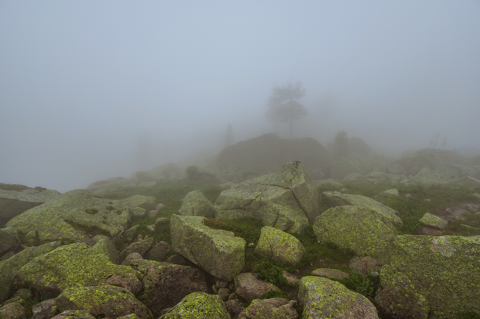 So I touched the clouds with my hands - Ergaki, Travels, Landscape, The photo, Fog, Holidays in Russia, Camping, Wild tourism, Longpost