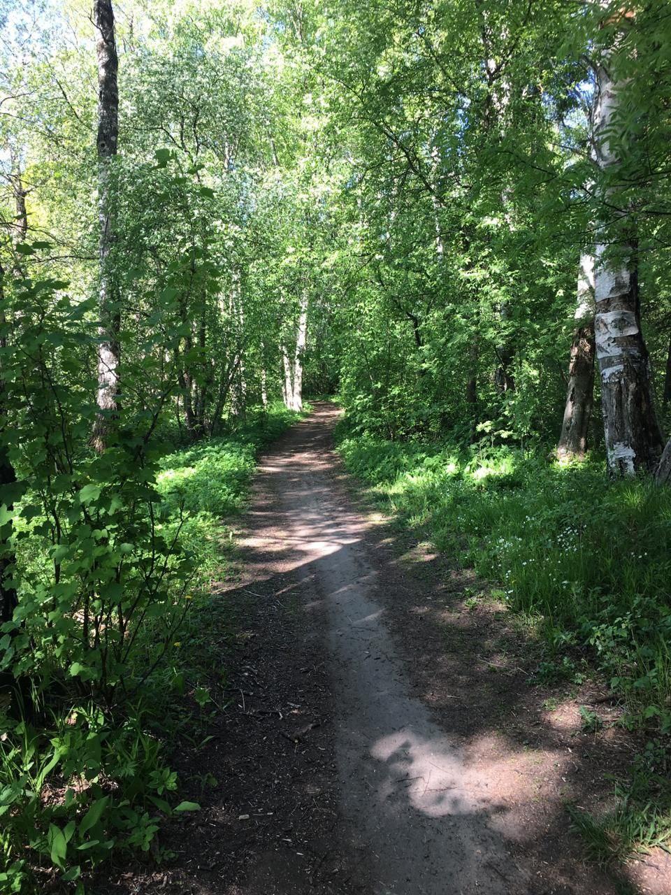 Long walkers, awakening from hibernation. 47 km in 11 hours - My, Walk, St. Petersburg long-walkers, Leningrad region, Saint Petersburg, Hiking, Longpost