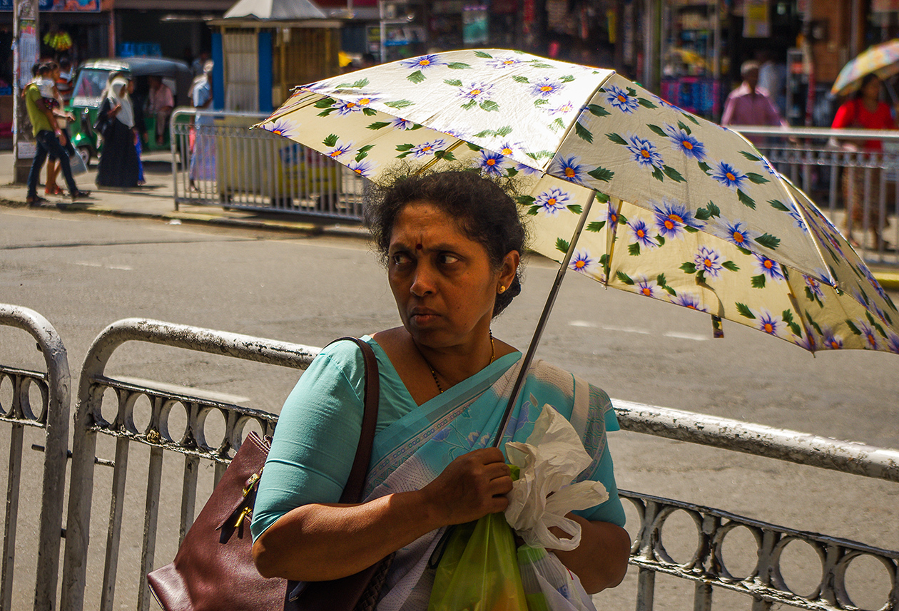 Sri Lanka - My, Sri Lanka, Travels, People, The photo, Wild tourism, Longpost