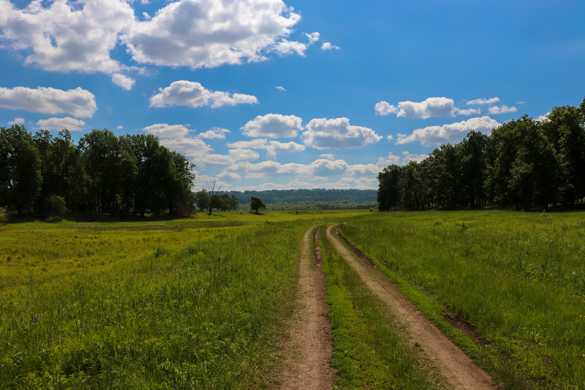 Велосипедная покатушка - Моё, Фотография, Велосипед, Природа, Красота, Пейзаж, Дзержинск, Видео, Длиннопост