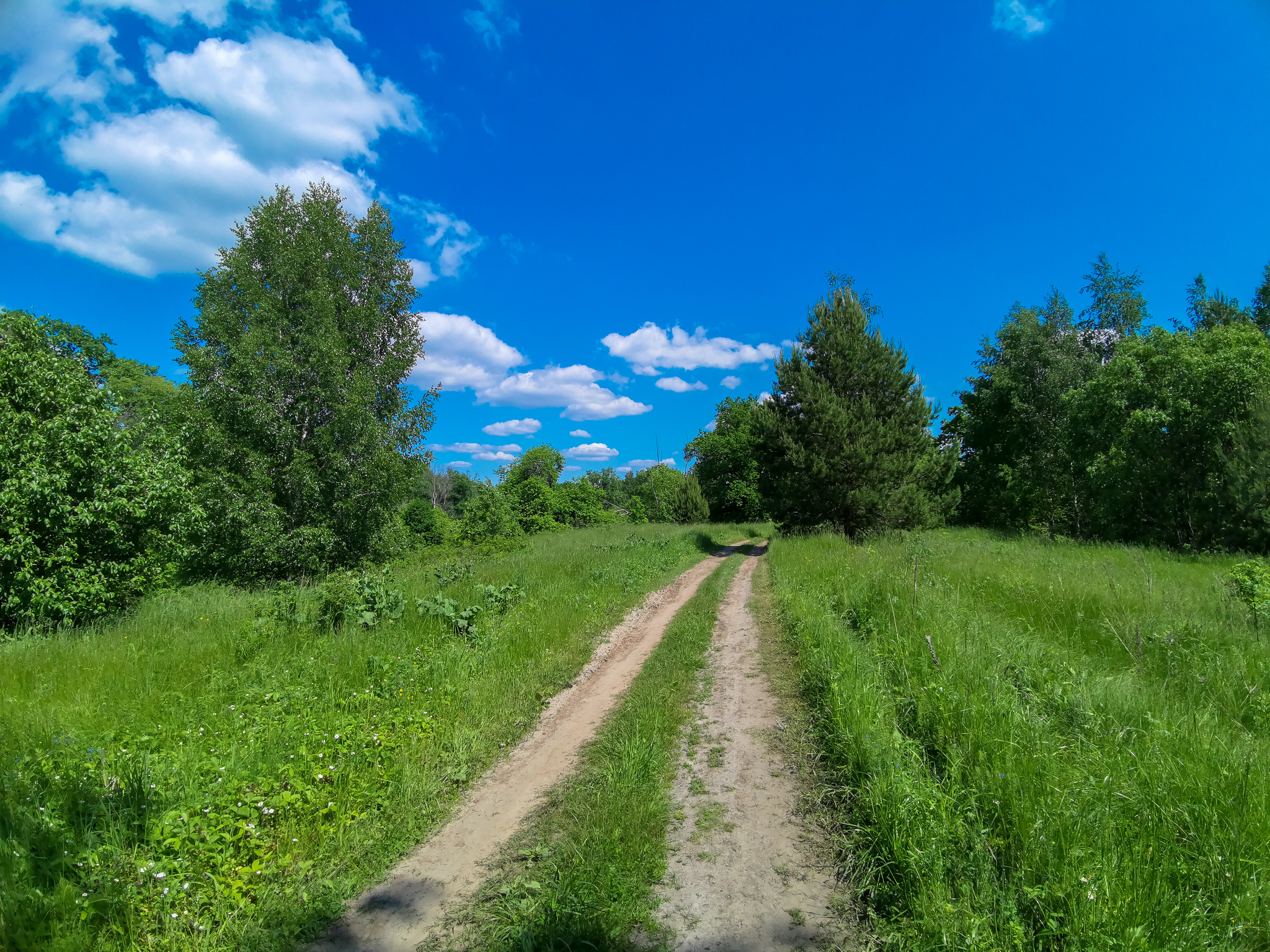 Велосипедная покатушка - Моё, Фотография, Велосипед, Природа, Красота, Пейзаж, Дзержинск, Видео, Длиннопост