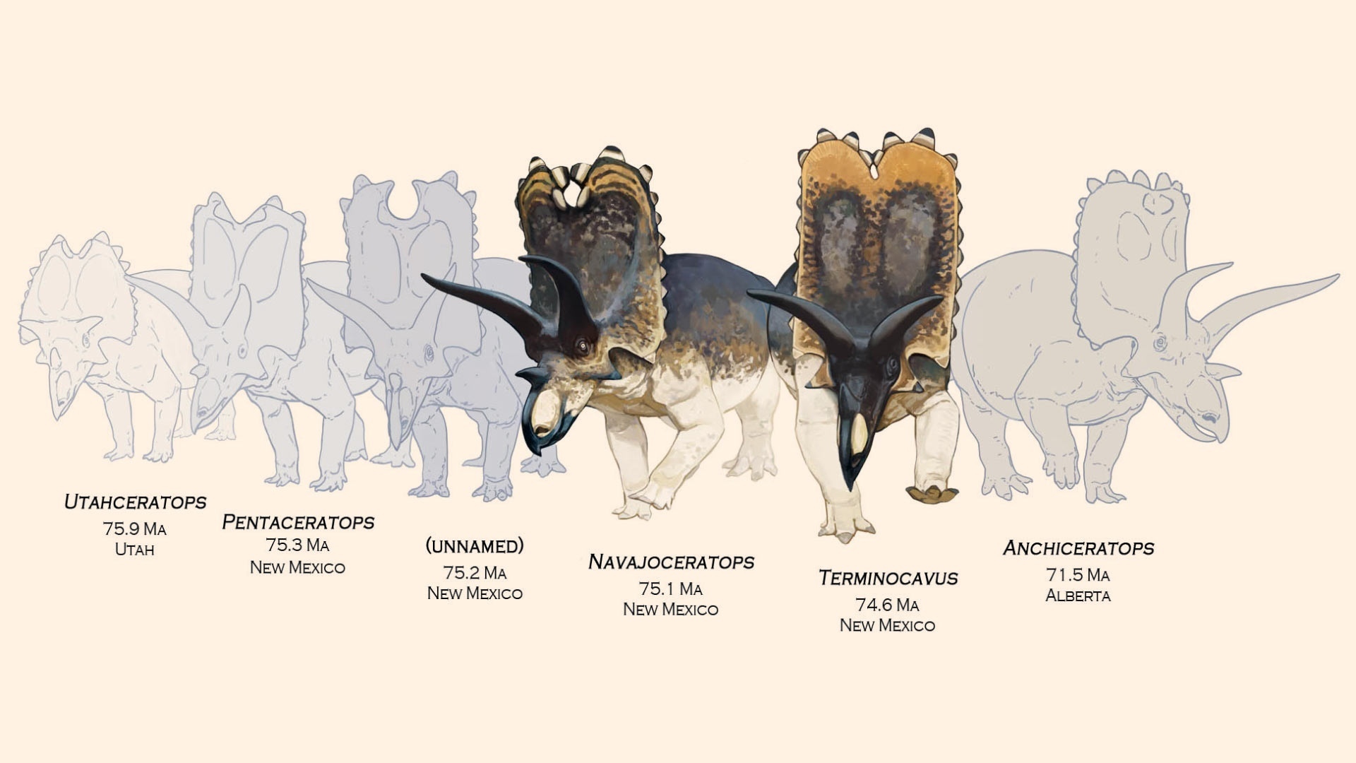 Two less missing links. Paleontologists have discovered transitional forms of ceratopsians - My, Paleontology, Dinosaurs, Evolution, The science, Longpost