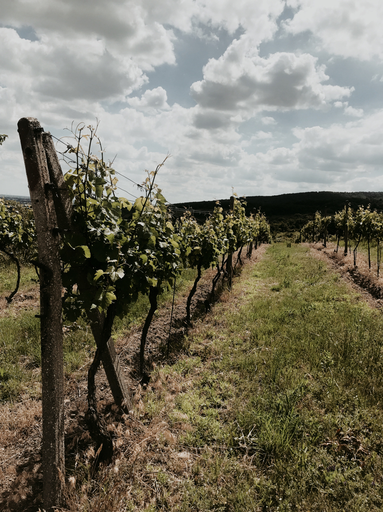 June in Slovakia - My, Slovakia, Landscape, Ruins, Nature, Europe, Longpost