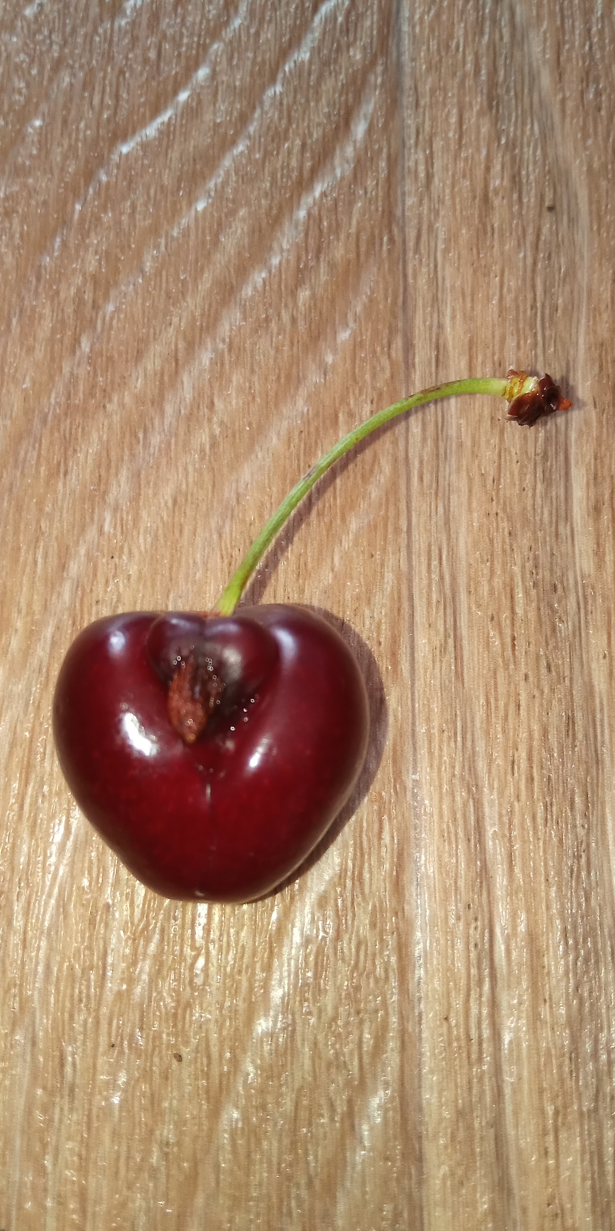 Cherries are for adults only! - My, Cherries, Berries, Mutation, Longpost, Pareidolia