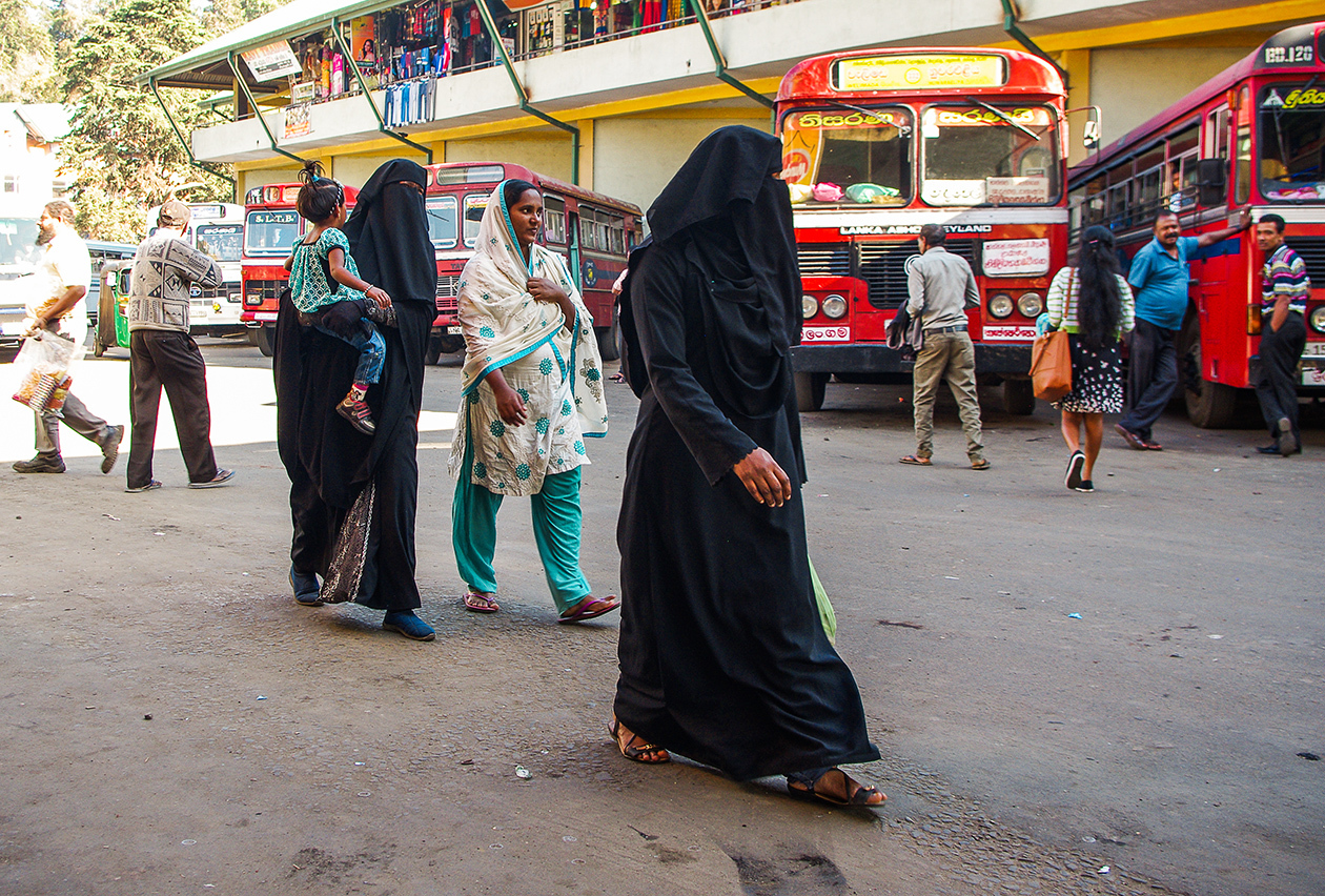 Where are the Indians?! - My, Sri Lanka, Travels, The photo, People, Religion, Wild tourism, Longpost