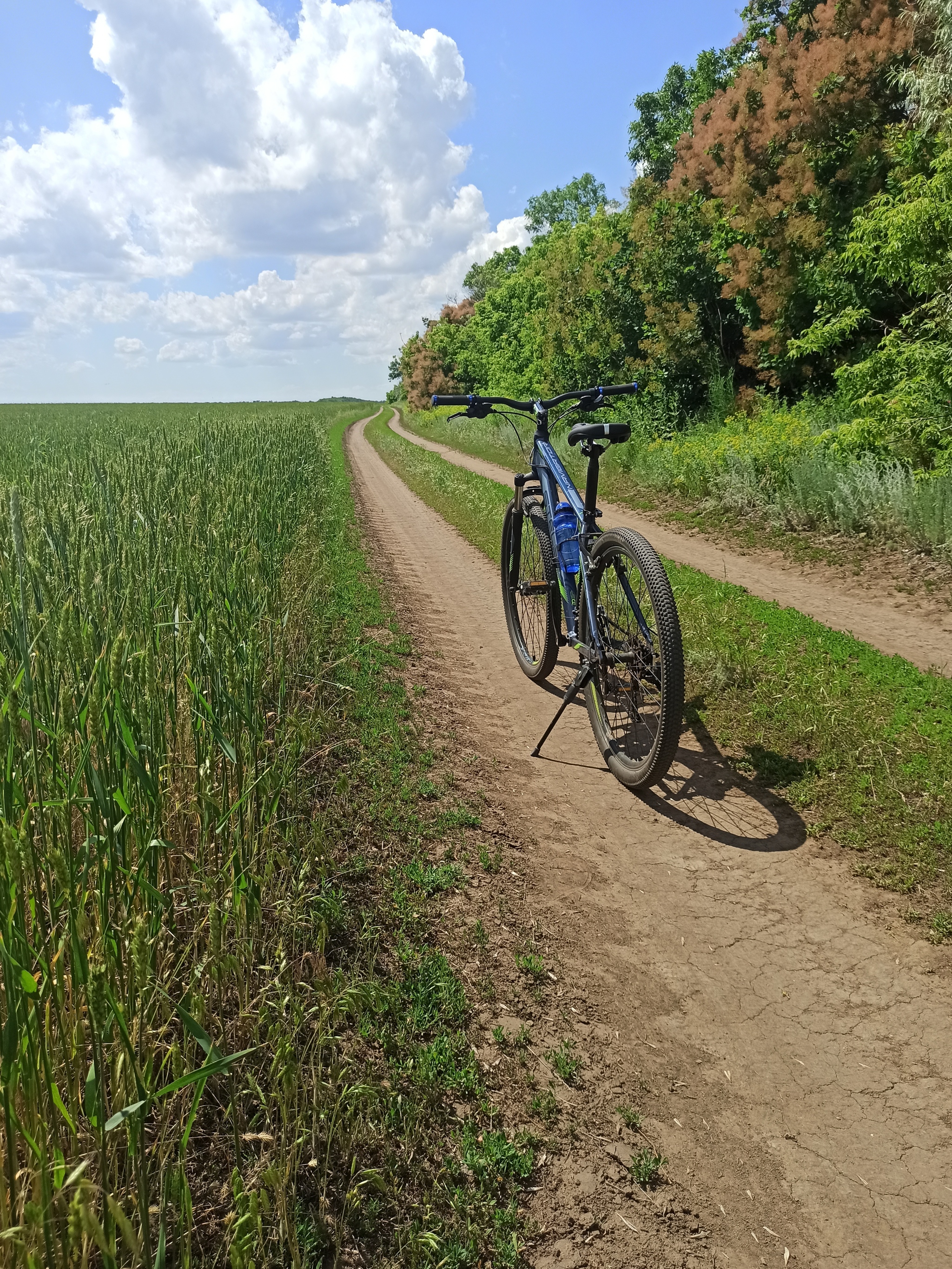 Somewhere I'm riding through the fields - My, A bike, Pokatushki, Heat, Saratov region, Longpost