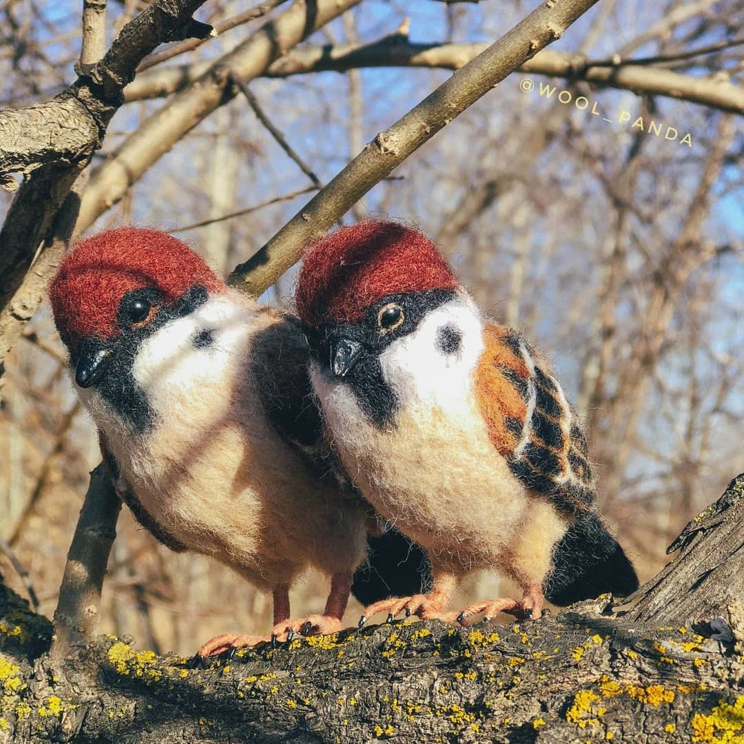 Sparrow (felting) - My, Sparrow, Birds, Dry felting, With your own hands, Author's toy, Wool toy, Longpost, Needlework without process