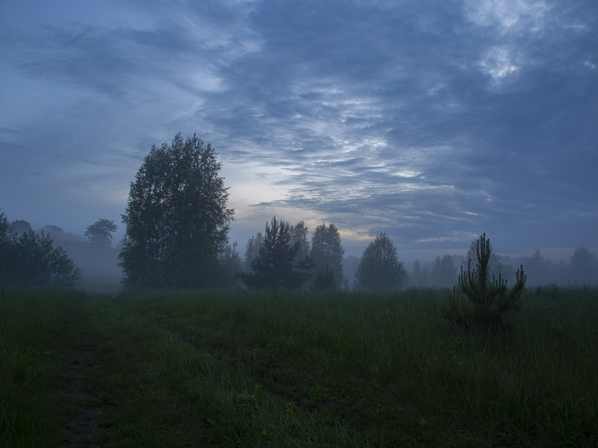 Fog after yesterday's rain - My, Fog, The photo, Atmospheric, After the rain, Nature, Longpost