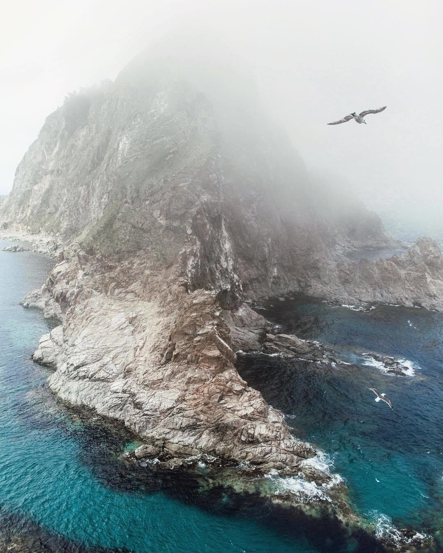 Sakhalin - The photo, Nature, Sakhalin, Russia, Sea, Birds, The rocks, Fog