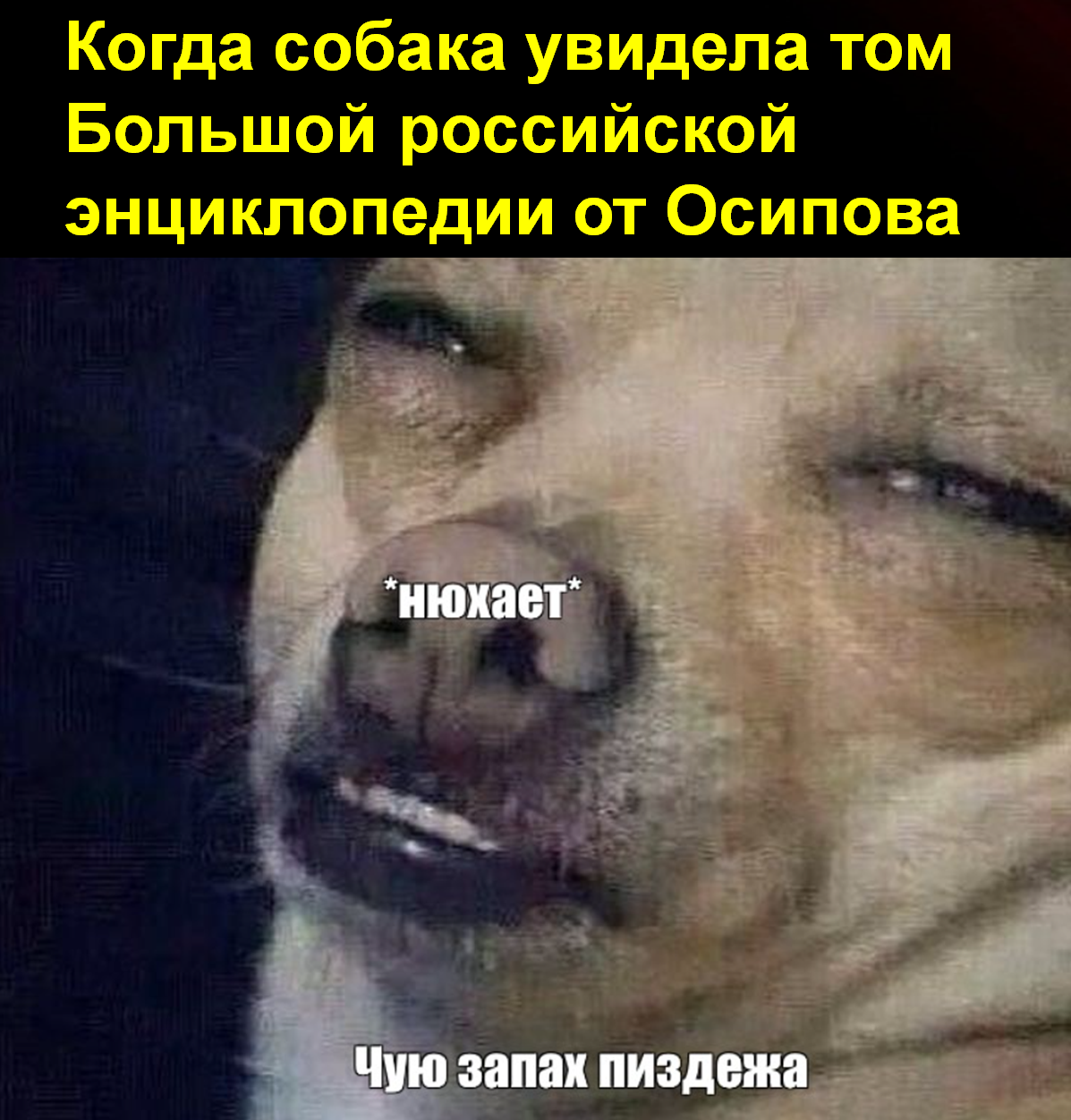 When the dog saw the volume of the Great Russian Encyclopedia from Osipov - My, Encyclopedia, Great Soviet Encyclopedia, Propaganda, Mat, Picture with text