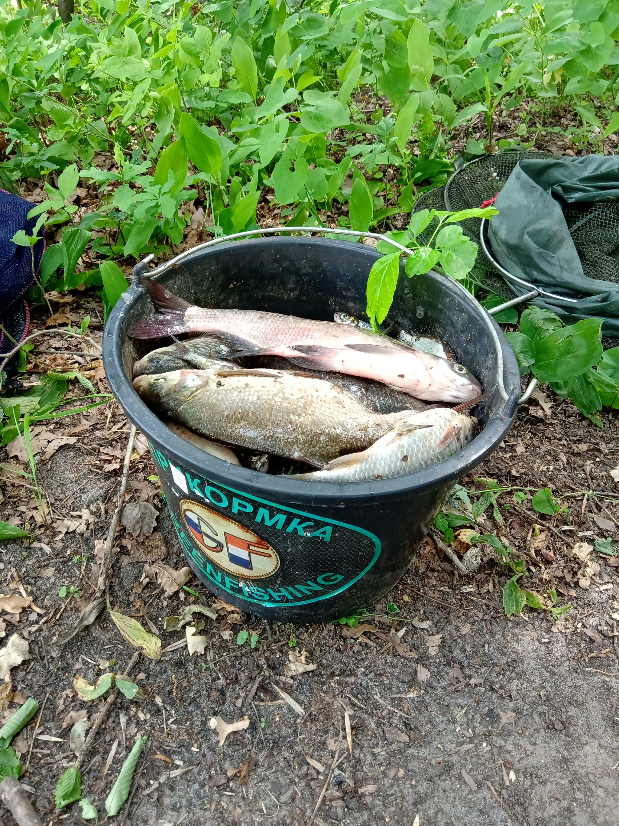 On Khopra - My, Fishing, Volgograd region, Longpost