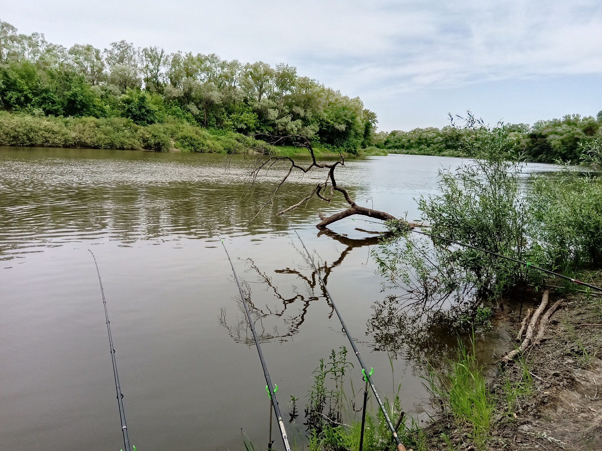 On Khopra - My, Fishing, Volgograd region, Longpost