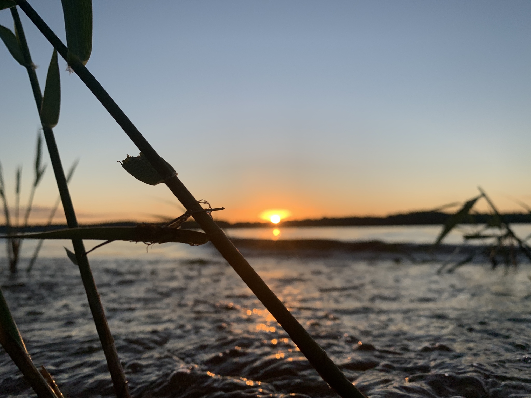 Sunset/dawn on the Volga - My, Nature, Longpost, Volga river