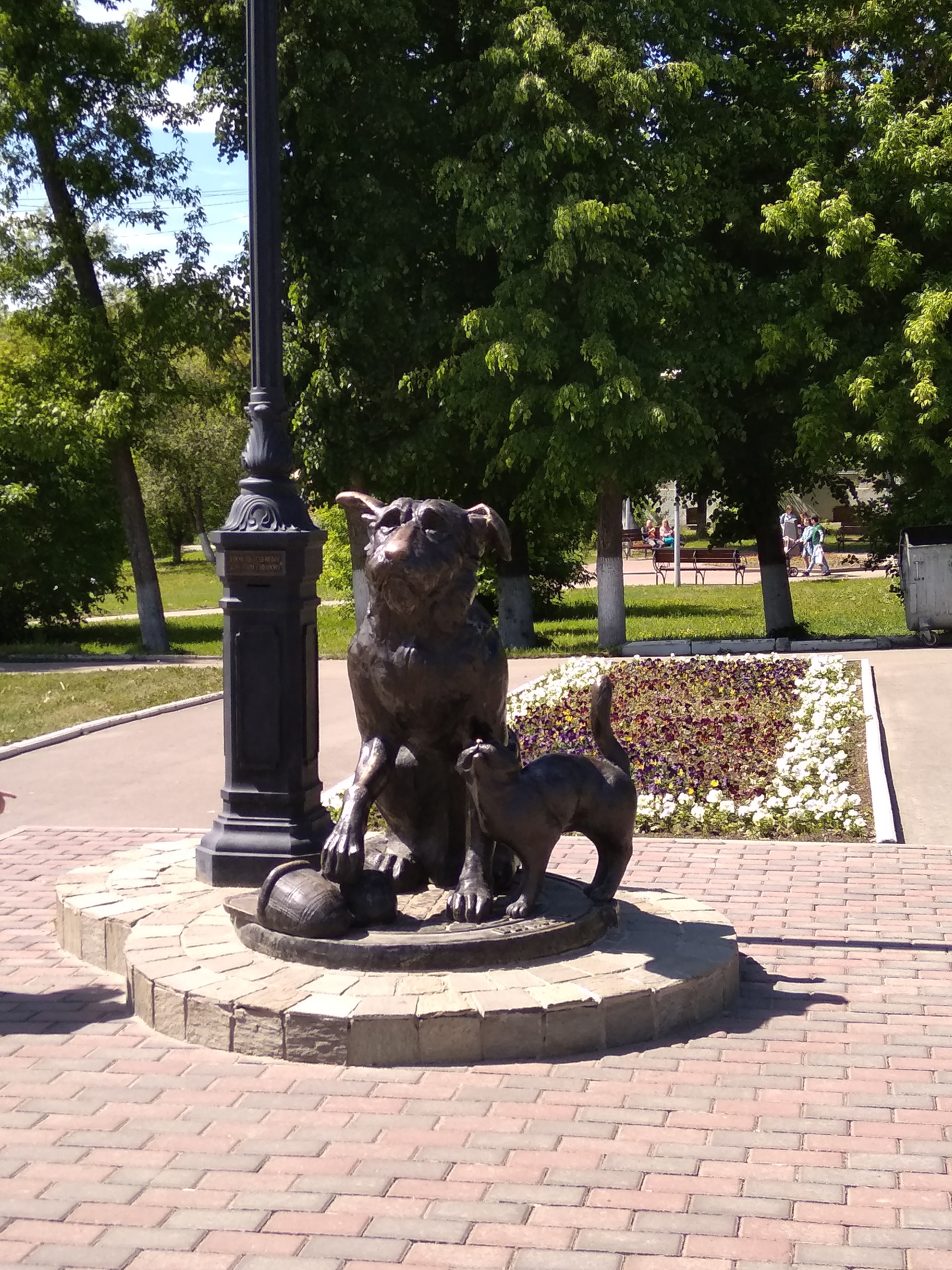 Monument to homeless animals, Ivanovo - My, Animals, The photo, Monument, Ivanovo