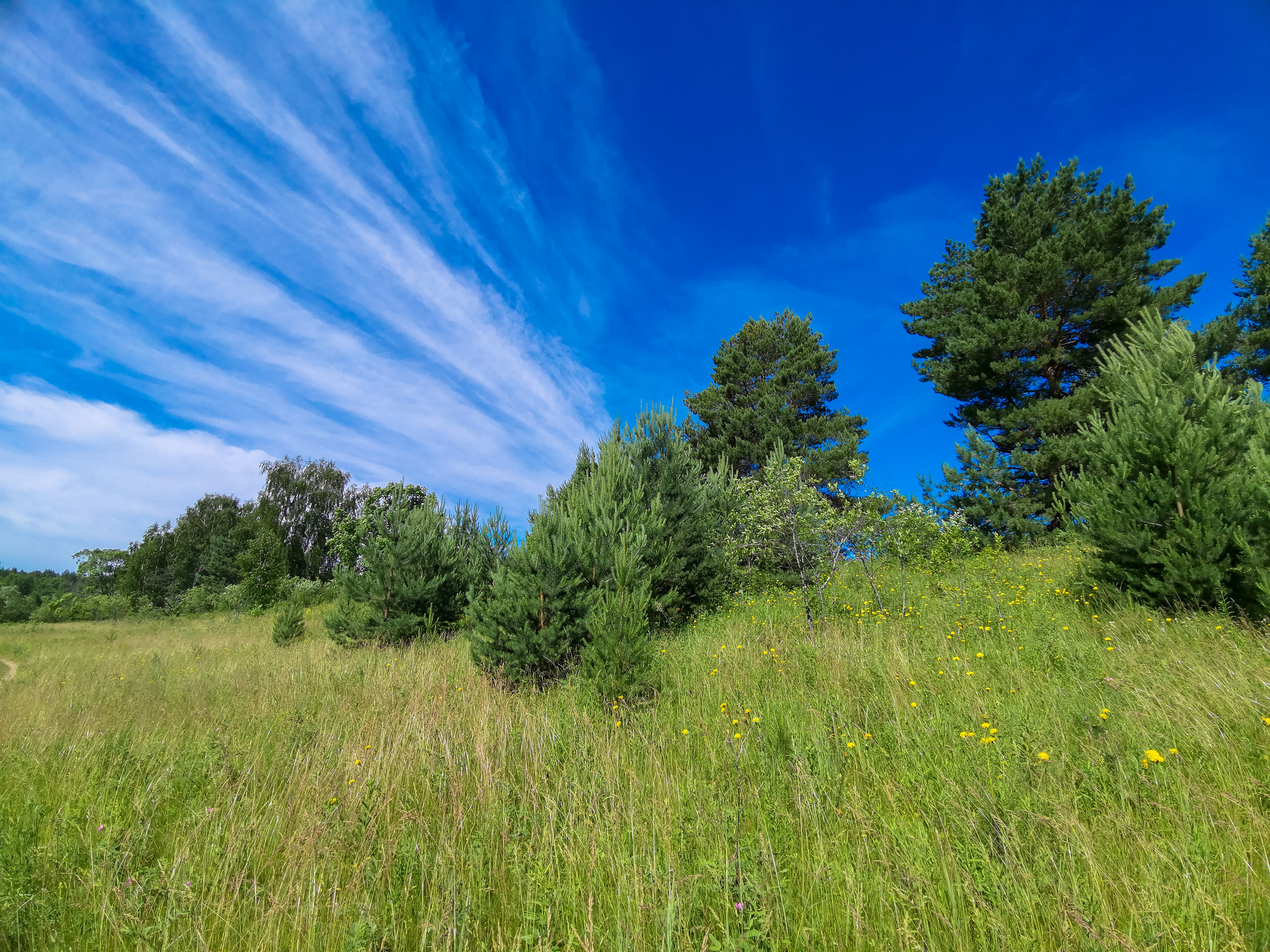 Landscape - My, Mobile photography, Landscape, Nature, Huawei mate 20, Longpost