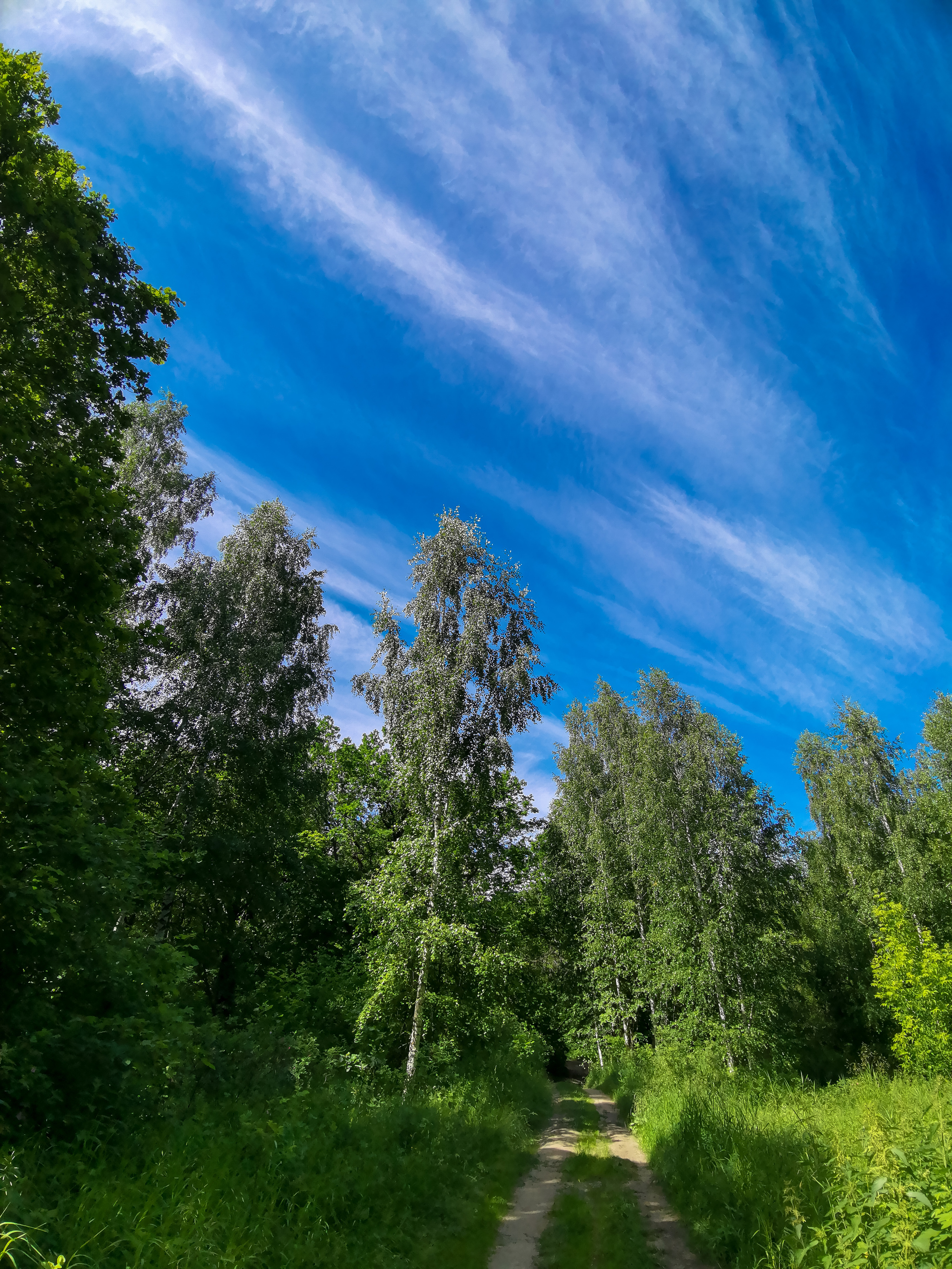 Landscape - My, Mobile photography, Landscape, Nature, Huawei mate 20, Longpost