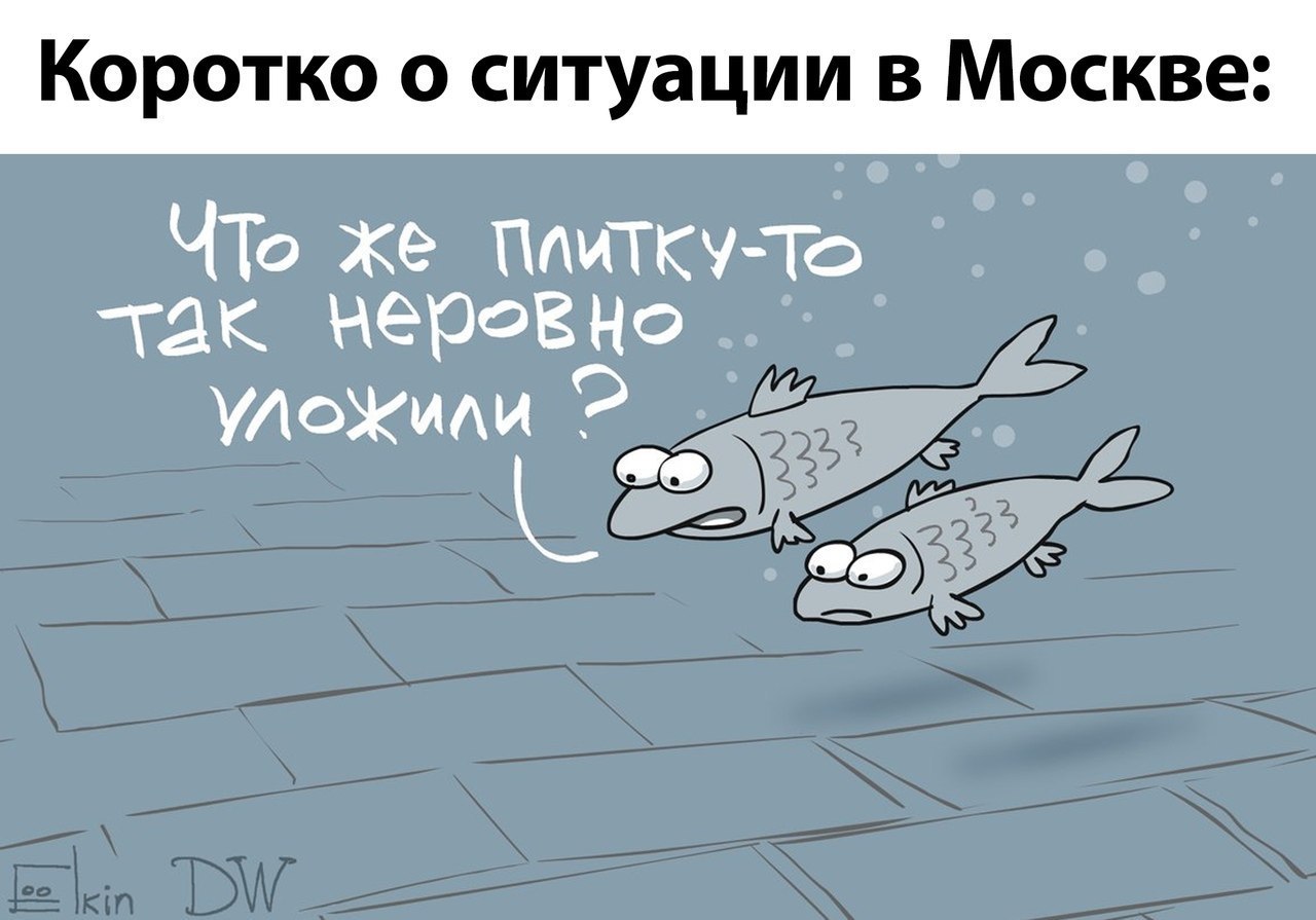 В связи со вчерашними катаклизмами в Москве - Москва, Дождь, Плитка, Юмор, Рыба, Сергей Елкин