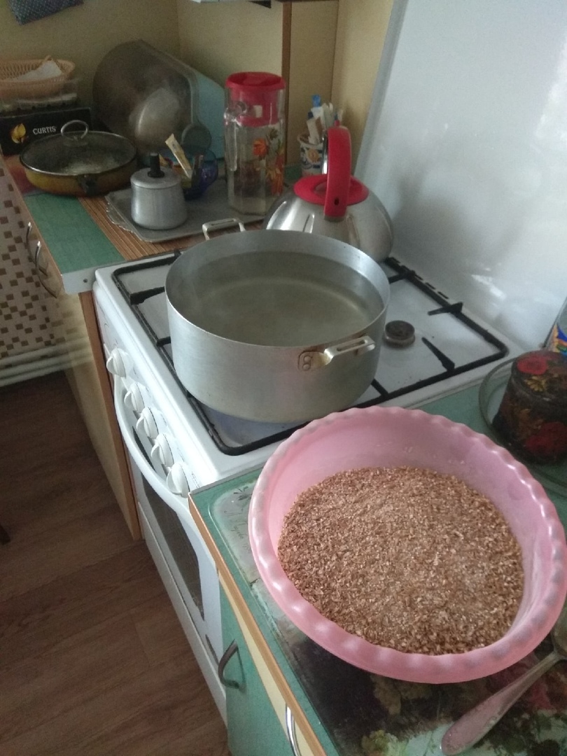 Homemade malt beer. Light - My, Cooking, Beer, Nerekhta, Homemade, Craft, Longpost