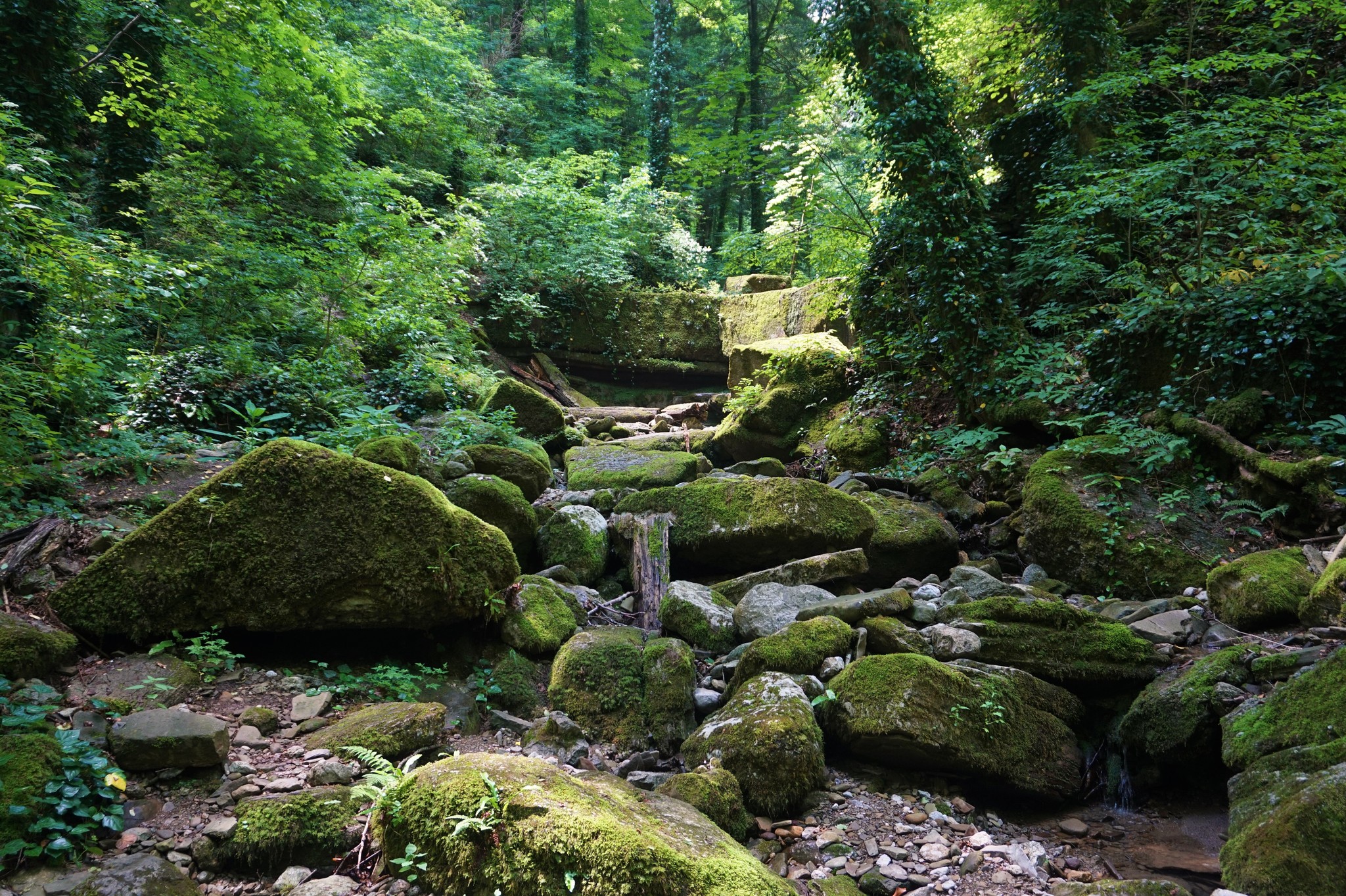 Walk to Kaverzinsky waterfalls - My, Hot Key, Краснодарский Край, Hike, Waterfall, Forest, Walk, Longpost