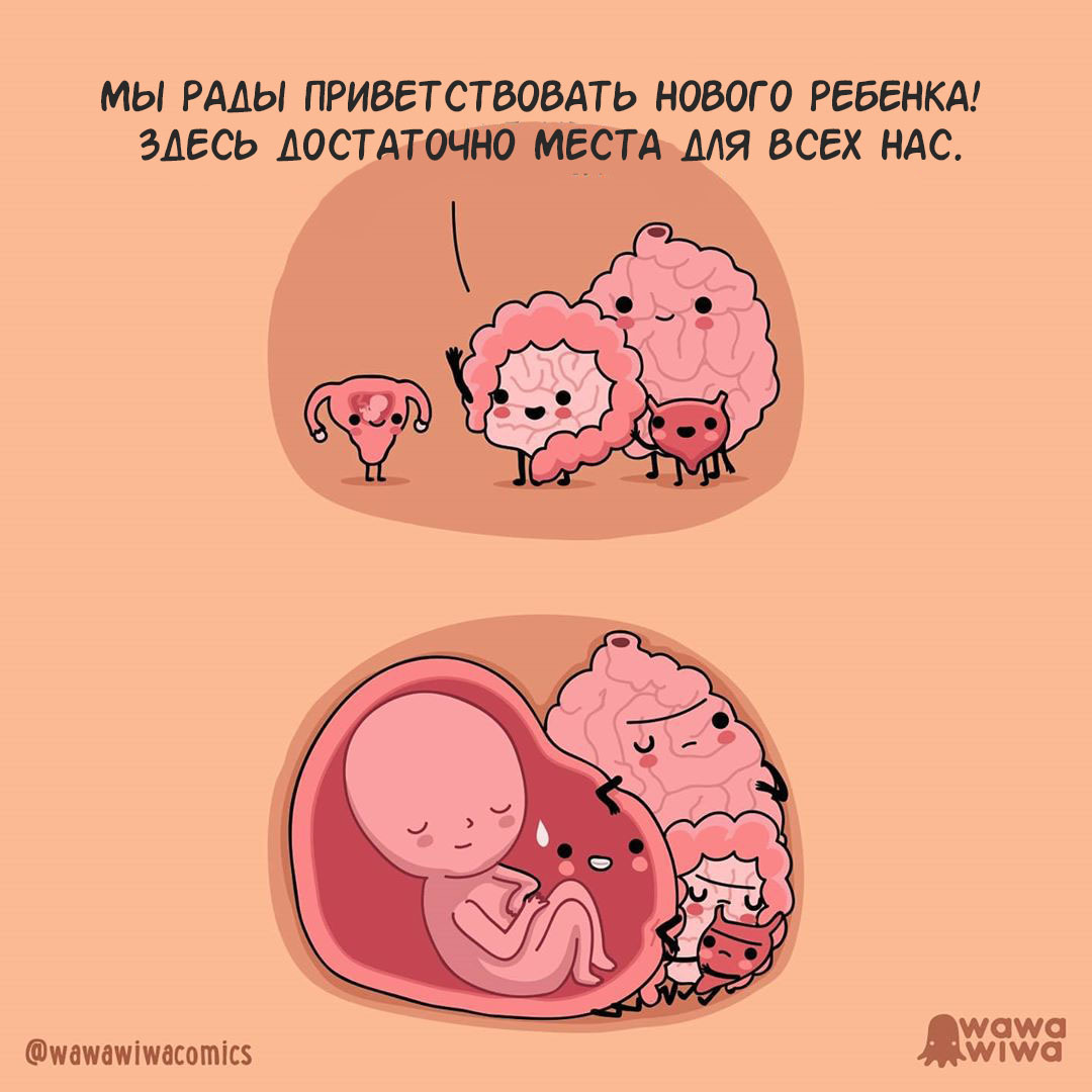 Baby - Wawawiwa, Comics, Pregnancy