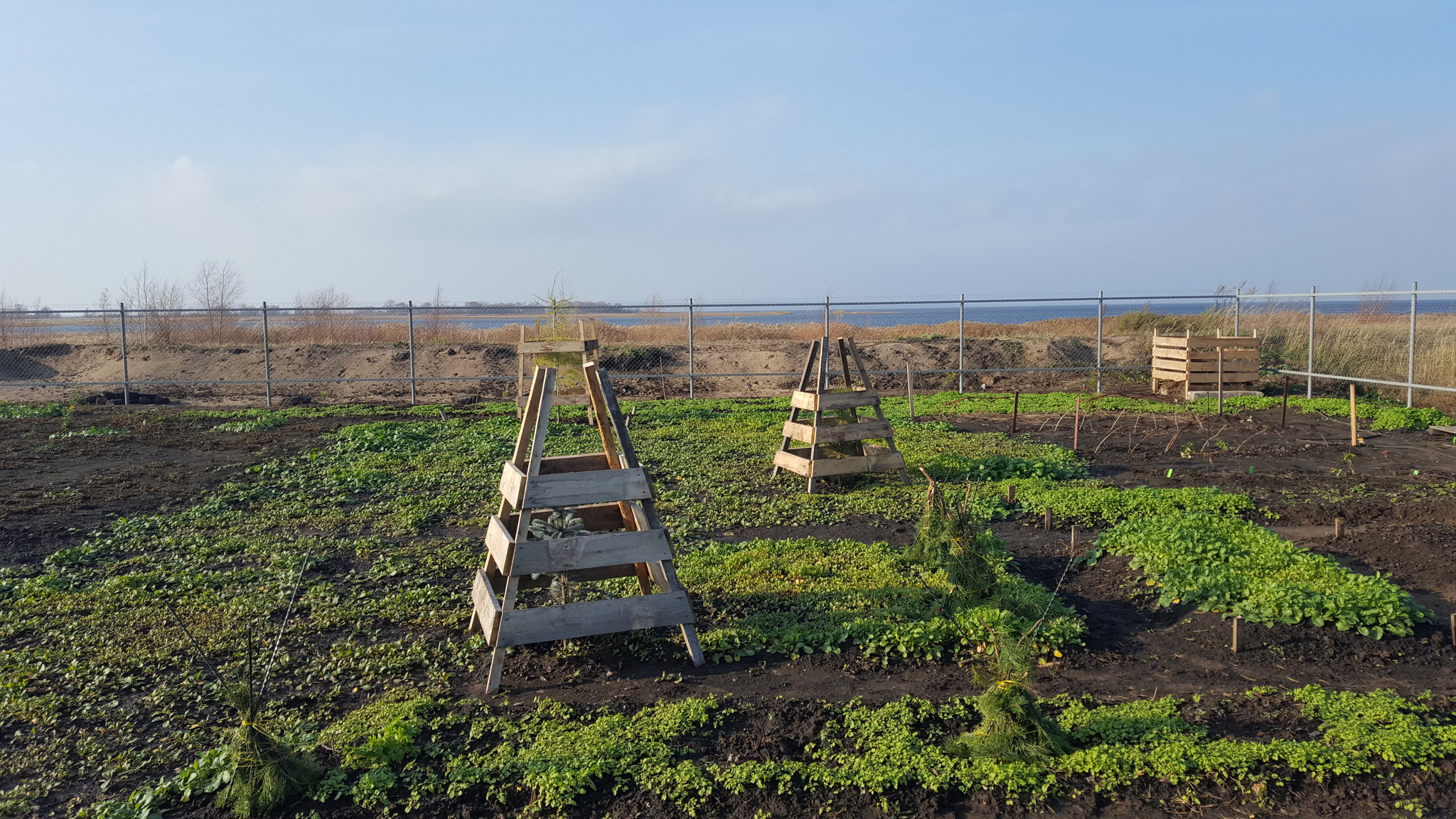 Development of a land plot from scratch. Something will work out. Part 1 - My, Dacha, Garden, Arrangement, Longpost