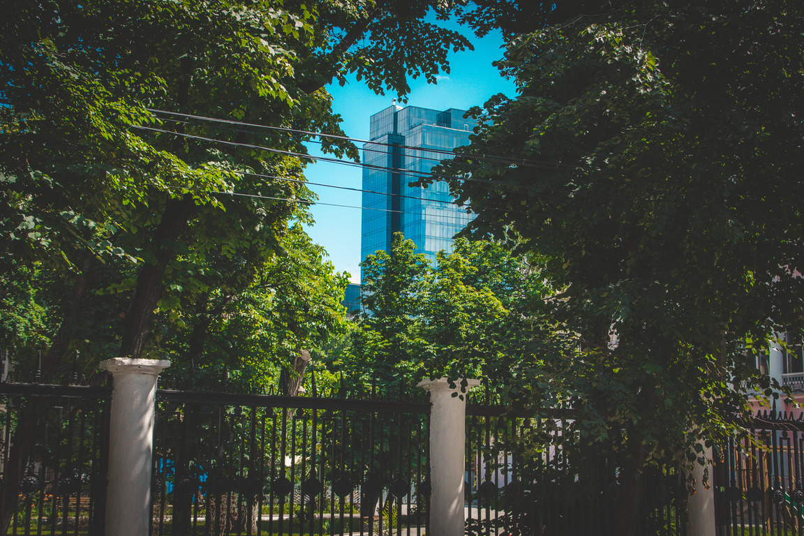 Greetings from Voronezh - My, Voronezh, Town, The photo, Bridge, Building, Longpost