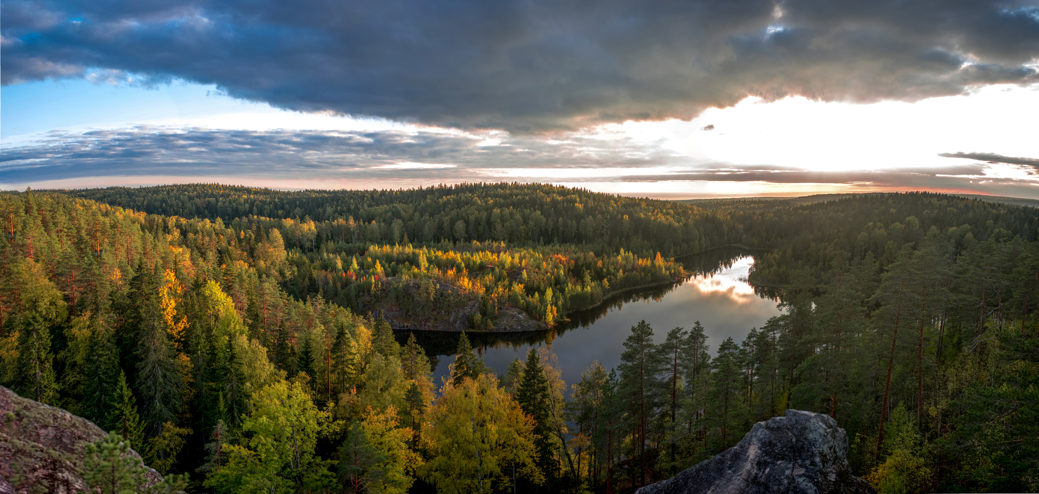 The beauty of nature of the Leningrad region - My, Nikon, Nature, The photo, Landscape, Russia, Longpost, Leningrad region