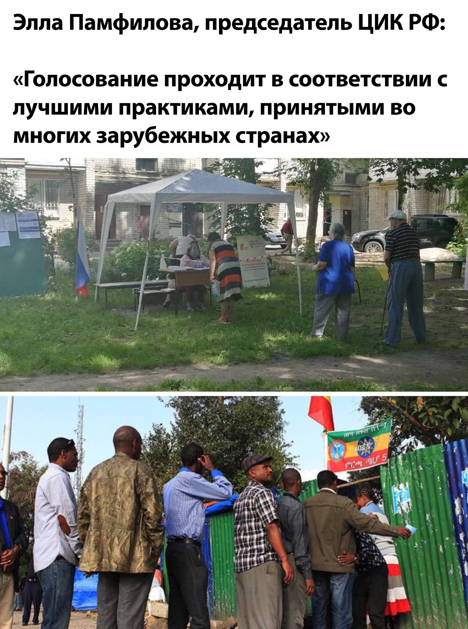 Голосование - Конституция, Голосование, Политика