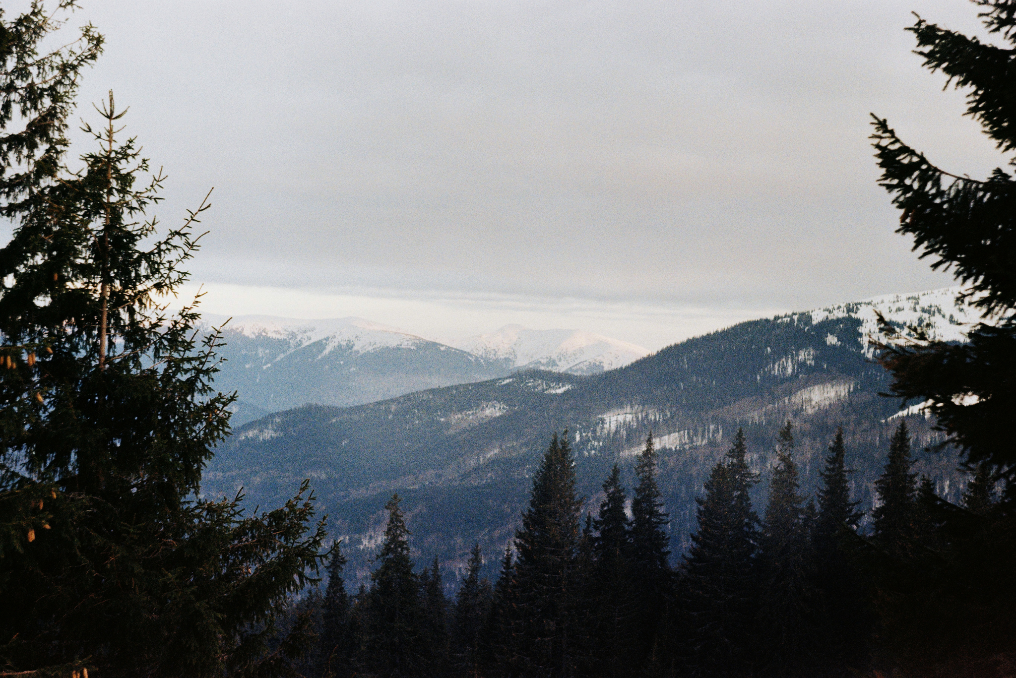 Several frames - My, Landscape, The photo, Film, Zenit 11, Longpost