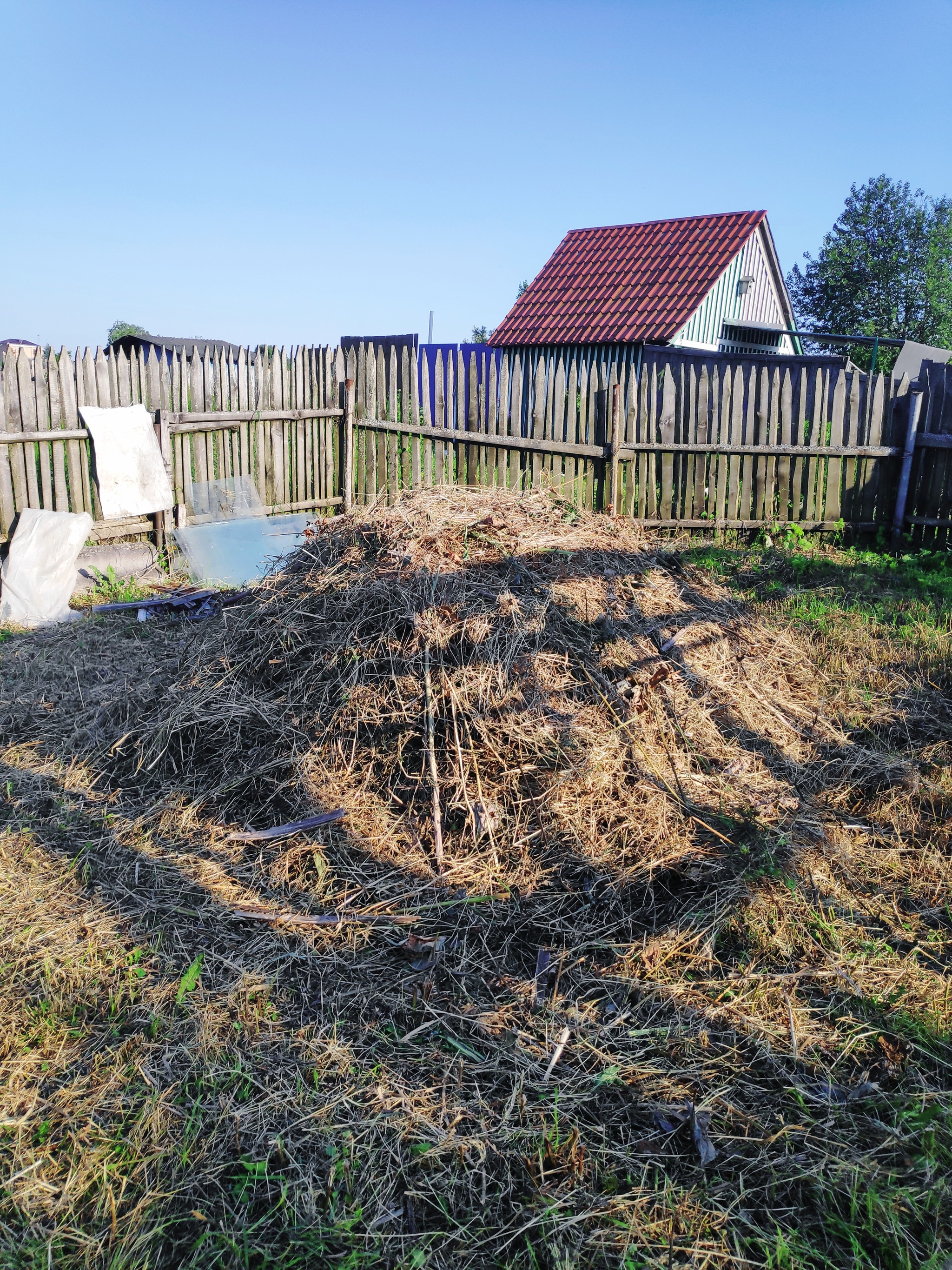 Vegetable garden/dacha My lazy dacha Part 3 Greenhouse and new things - My, Garden, Dacha, Creation, Longpost