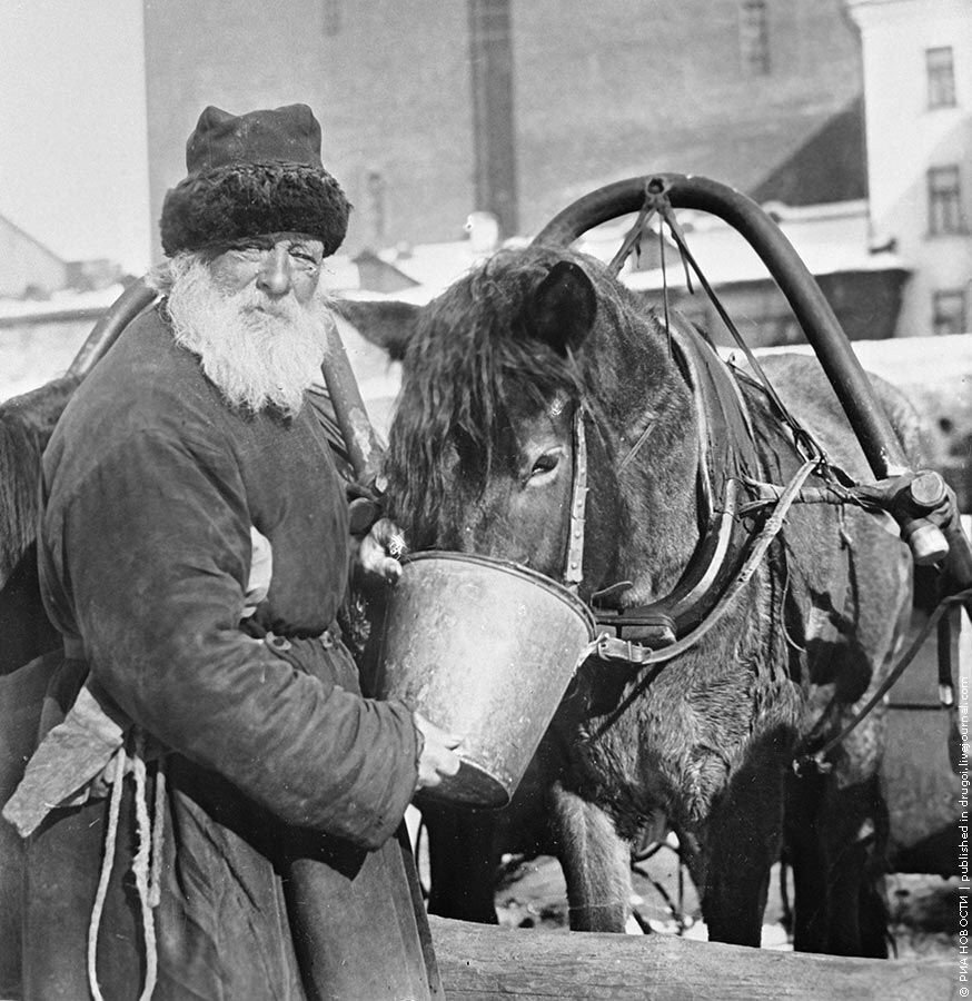 Москвоские извозчики - Моё, Москва, История, Транспорт, Извозчик, Длиннопост, Старое фото