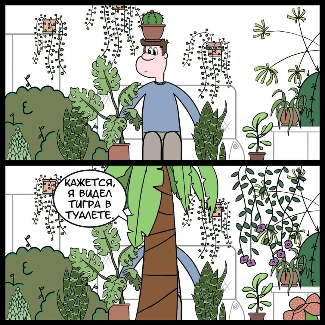 Silly Stories. Tiger in the bushes - My, Comics, Web comic, Author's comic, Houseplants