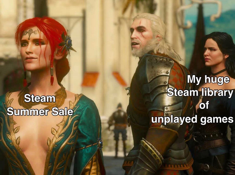 Goodbye salary - Steam, Witcher, Memes, looked back