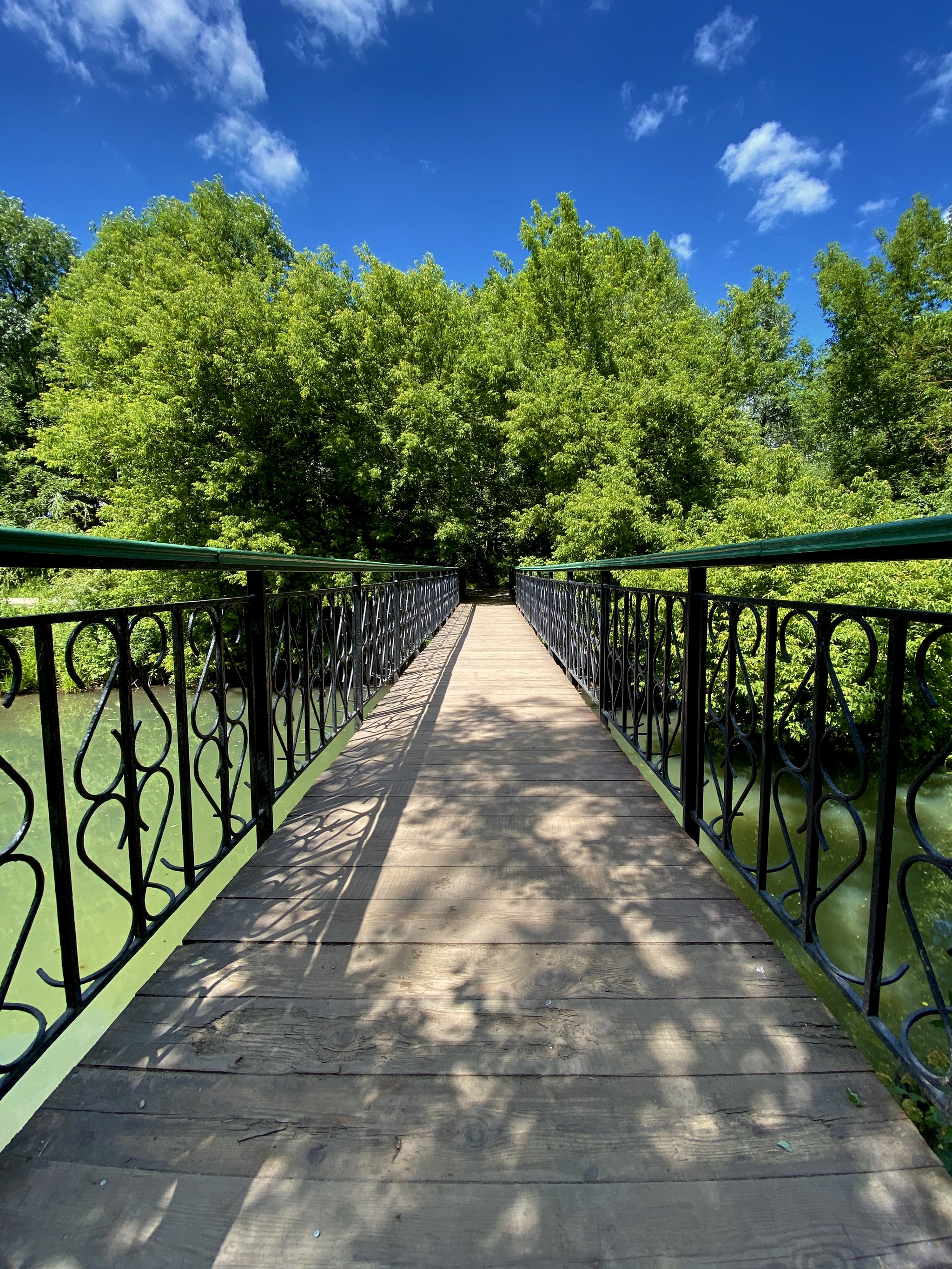 Pokrovskoye-Streshnevo 2020 - My, Pokrovskoye-Streshnevo, The park, Nature, Longpost