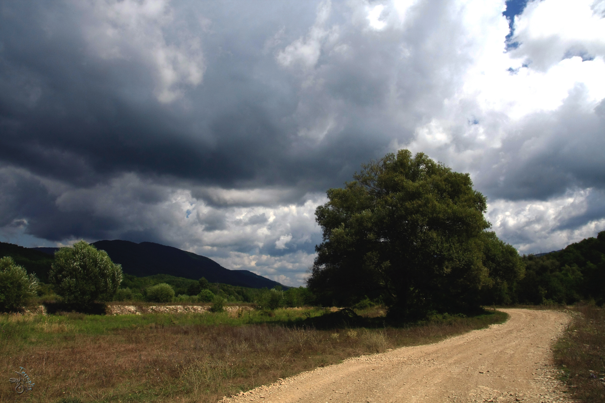 First lap. Conversations with stones - My, Forest, The mountains, Caucasus, Waterfall, Dolmens, Hike, Travels, First post, Longpost