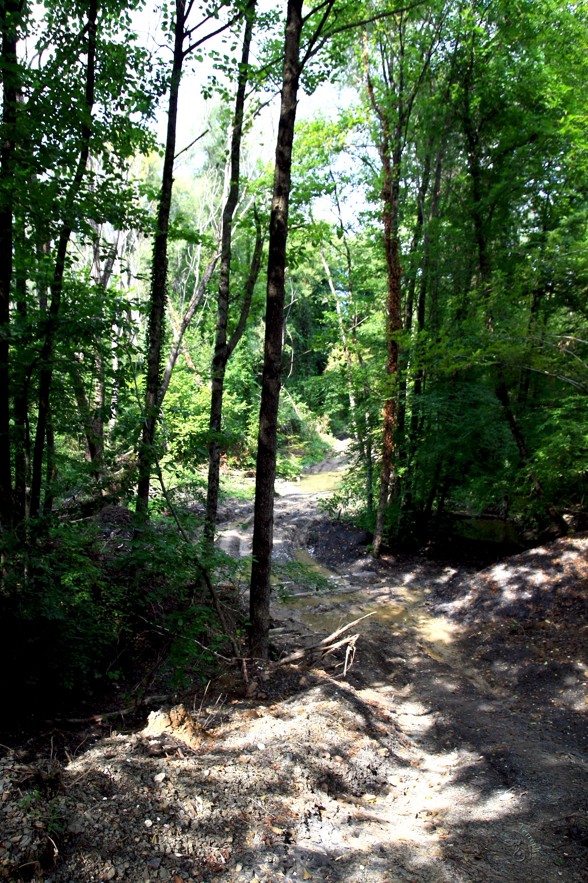 First lap. Conversations with stones - My, Forest, The mountains, Caucasus, Waterfall, Dolmens, Hike, Travels, First post, Longpost